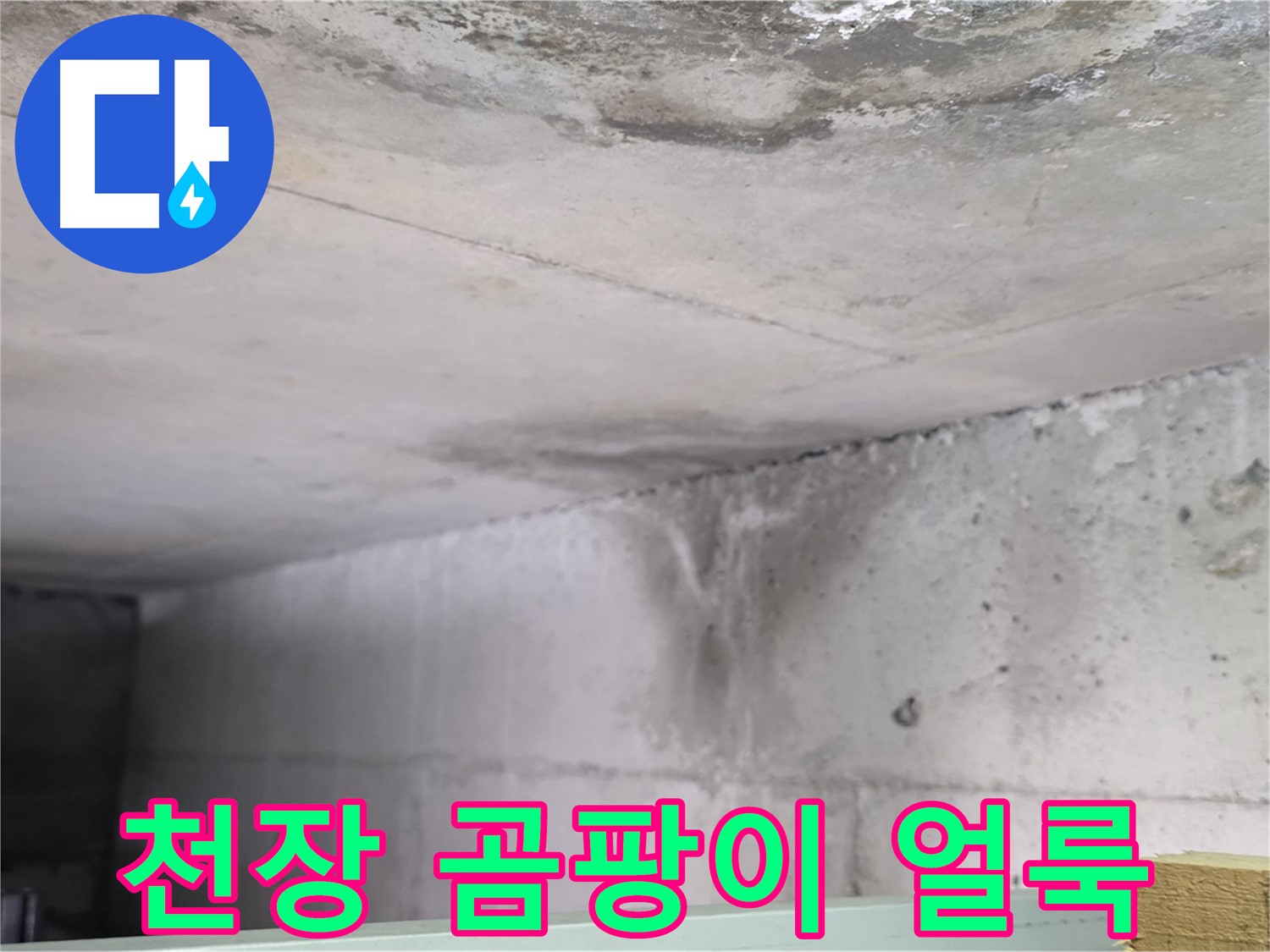 콘크리트 천장 누수 - 일산 누수, 곰팡이 얼룩과 물 떨어짐