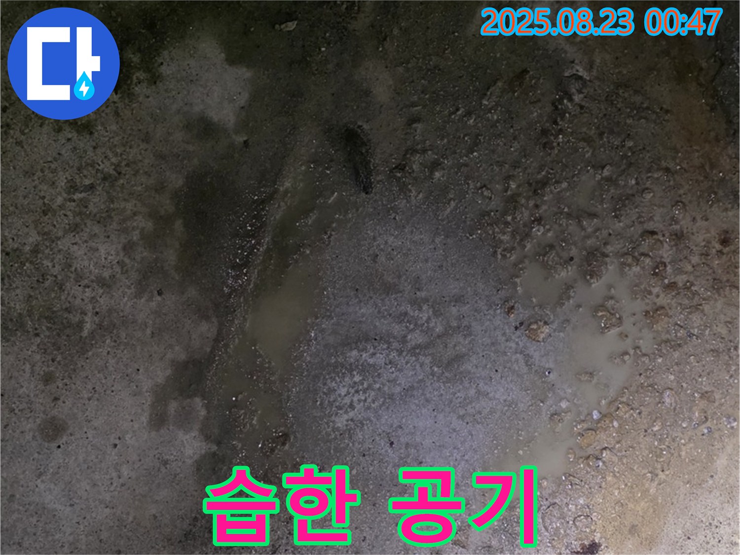 철원군 서면 와수리 누수 현장 - 콘크리트 바닥 물 고임 - 곰팡이 냄새와 함께 습한 공기가 느껴집니다 - 불쾌한 환경입니다.