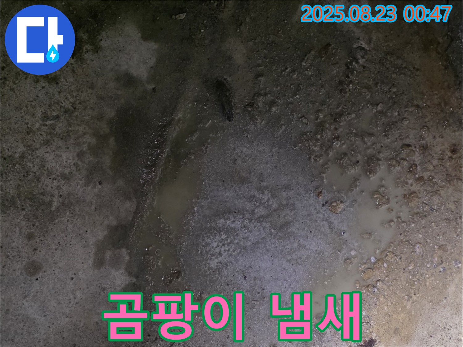 철원군 서면 와수리 누수 현장 - 콘크리트 바닥 습기 - 벽 하단에서 곰팡이 냄새가 나기 시작했습니다 - 건강에 해로울 수 있습니다.