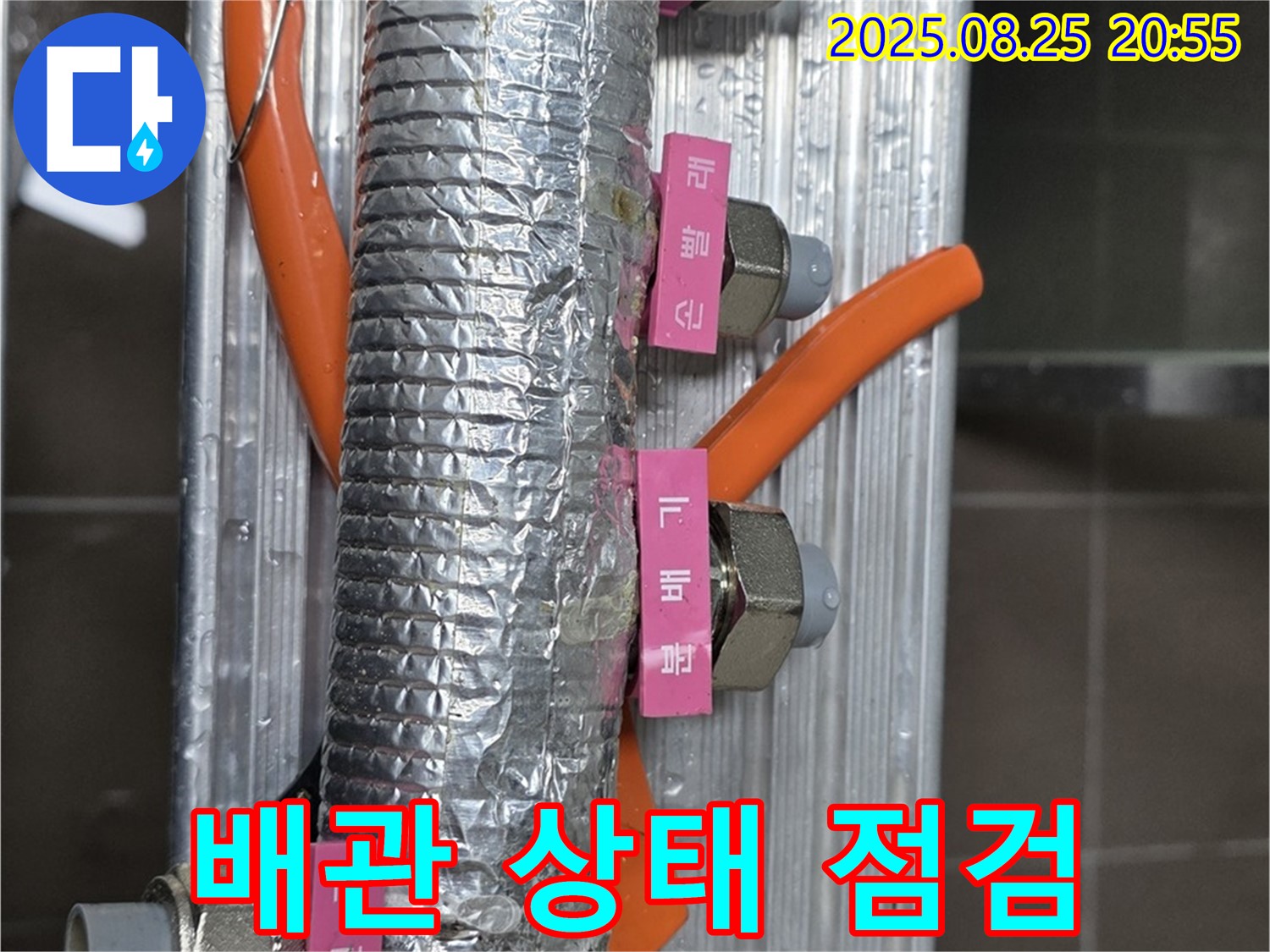 선동 아파트 누수 - 배관 전체의 상태를 꼼꼼하게 점검하고 있습니다.