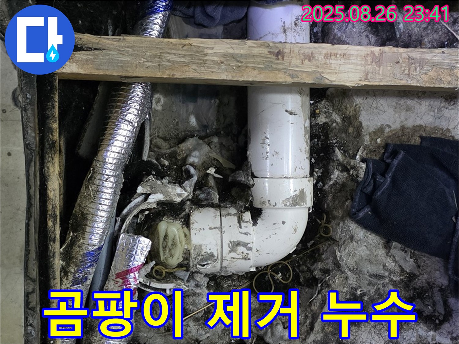 김포 장기동 누수 - 배수관 주변 곰팡이를 제거하고 누수를 해결했습니다.