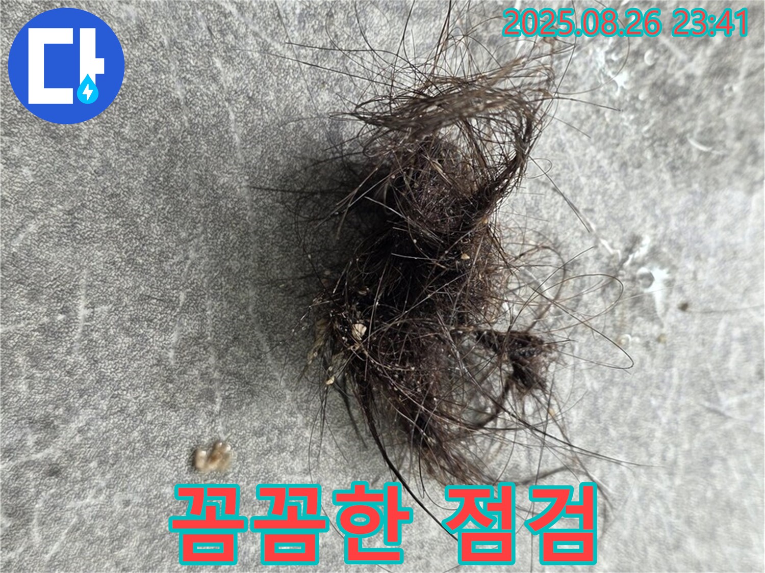 김포 장기동 누수탐지 - 꼼꼼한 누수 점검으로 배수구 막힘 해결!
