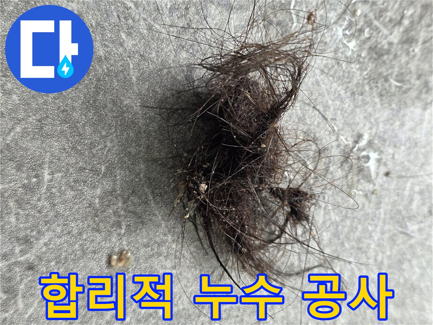 합리적 누수 공사 - 거품 없는 가격으로 최고의 누수 공사 서비스를 제공합니다.