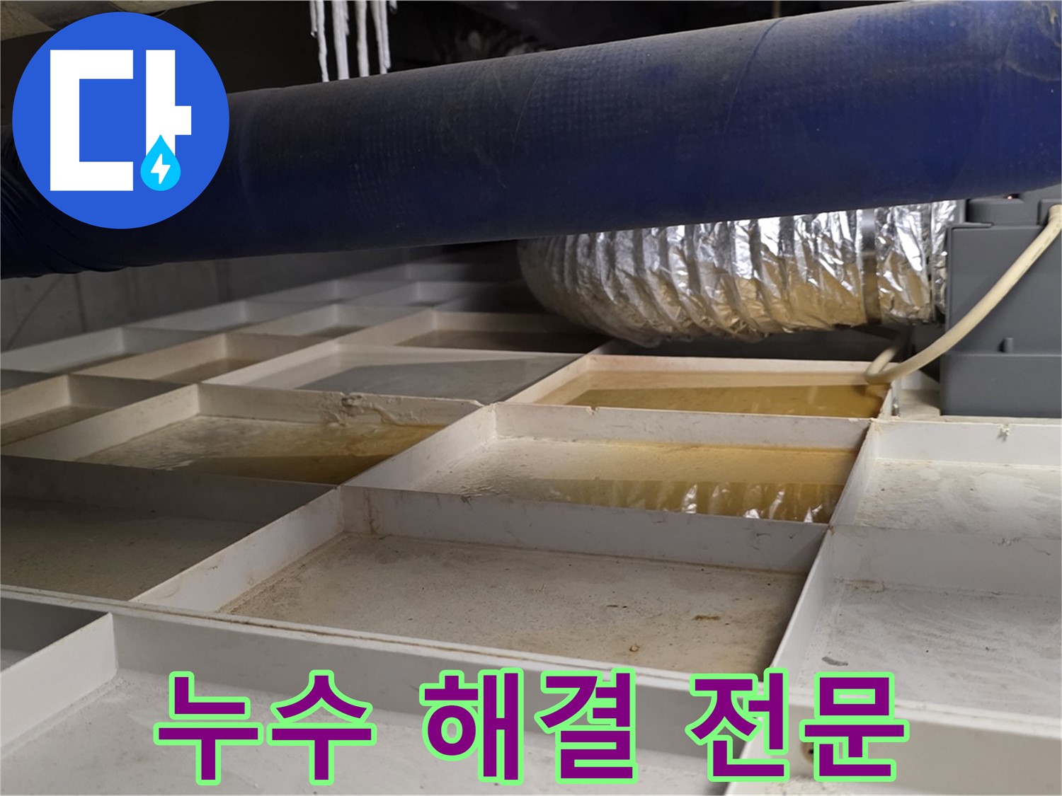 건물 하부 누수 해결 - 누수 전문가의 꼼꼼한 점검