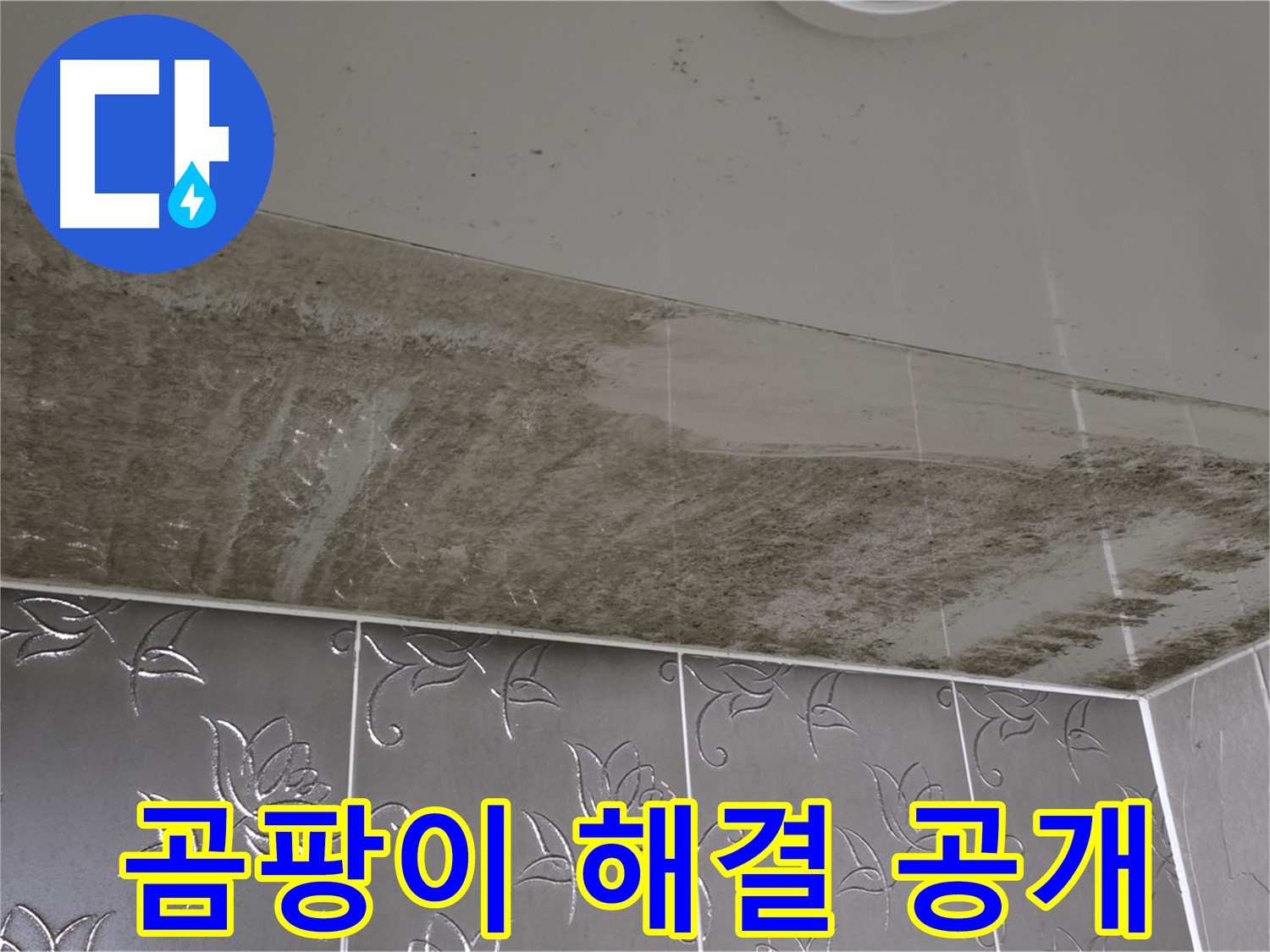 곰팡이 가득한 욕실 - 숨은 누수 지점을 찾아 완벽하게 해결하는 과정!