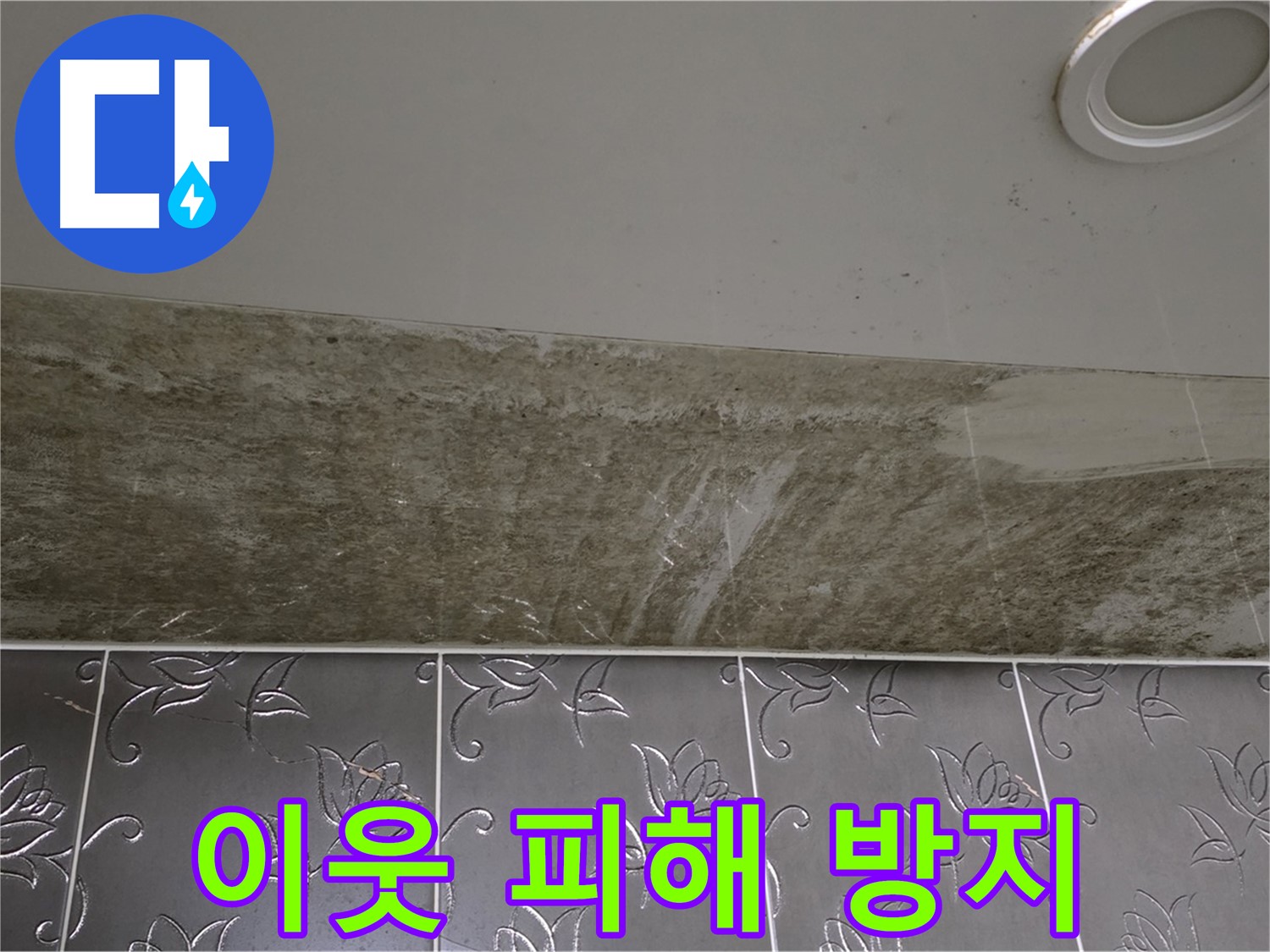 곰팡이 심각한 욕실 - 누수 해결, 완벽 차단! 이웃에게 피해 주기 전에 해결하세요!