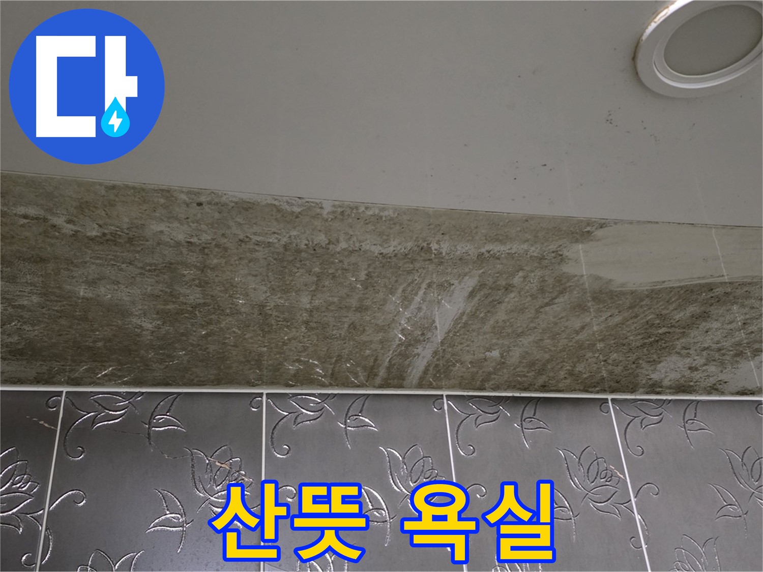 곰팡이 핀 욕실 - 곰팡이 싹 OUT, 산뜻한 욕실! 확실하게 책임지고 바꿔드릴게요!