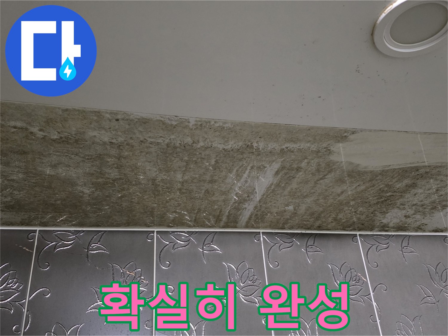 곰팡이 핀 화장실 천장 - 곰팡이 OUT, 쾌적하고 뽀송한 우리집! 확실하게 완성!