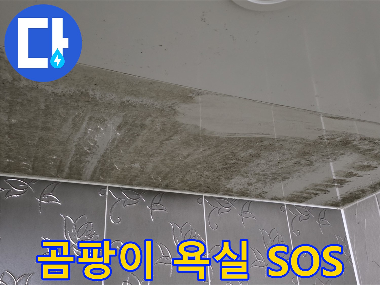곰팡이로 뒤덮인 욕실 천장 - 긴급 누수 진단으로 문제 해결 시작!