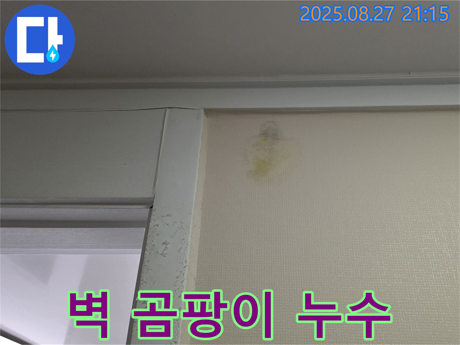 벽 곰팡이 누수 - 산운마을 6단지에서 발견된 벽 곰팡이 누수 현장을 촬영한 사진입니다.