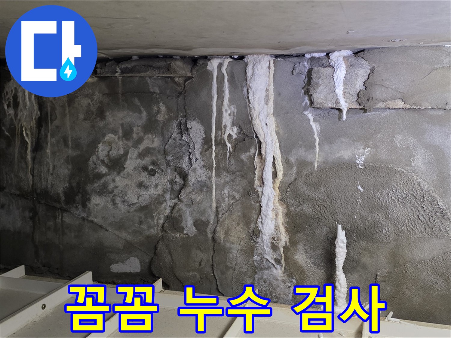 분당 운중동 건물 누수 - 꼼꼼 검사, 곰팡이 위험 진단!