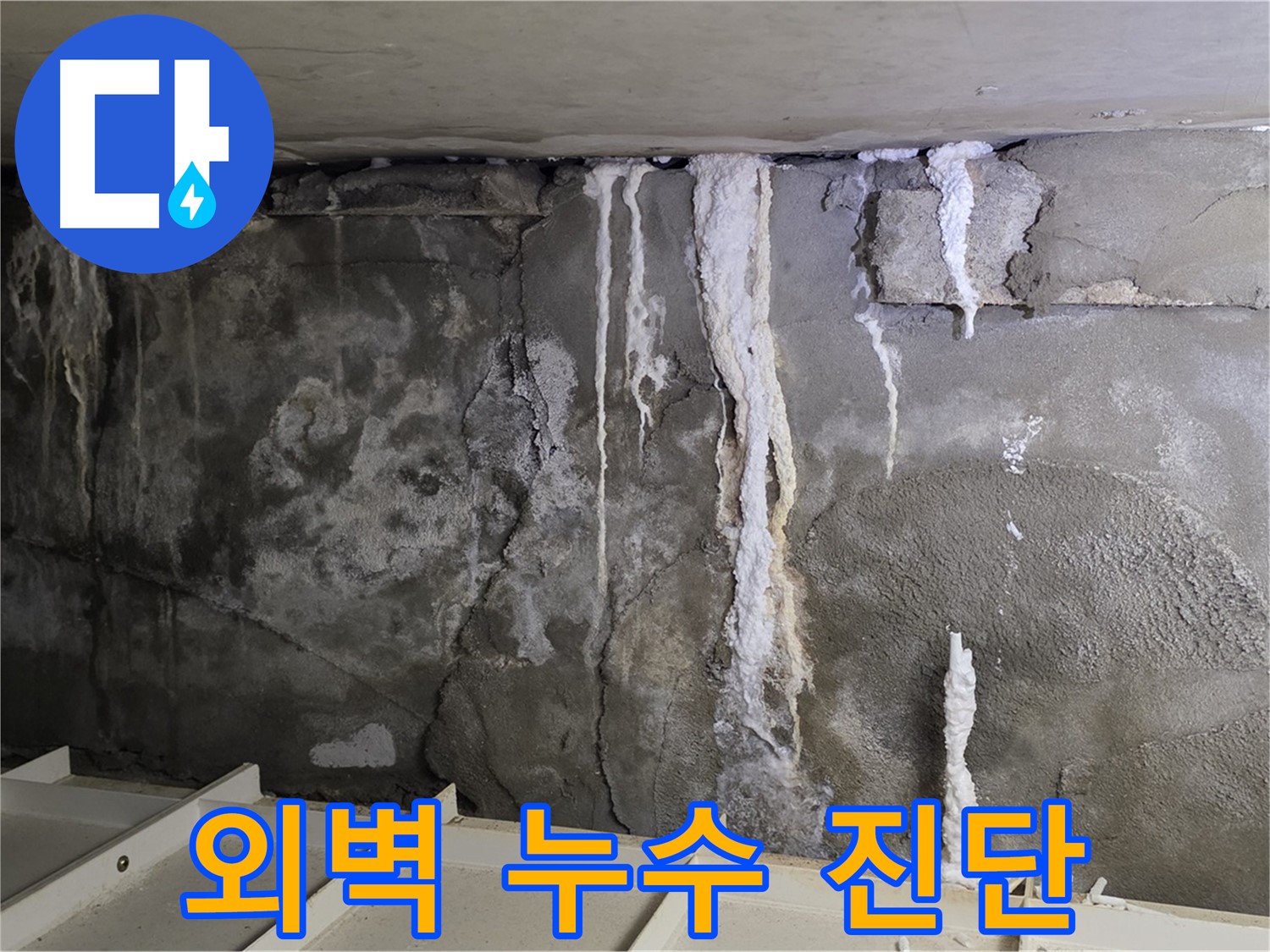 분당 운중동 건물 누수 - 외벽 누수 - 꼼꼼 진단 서비스