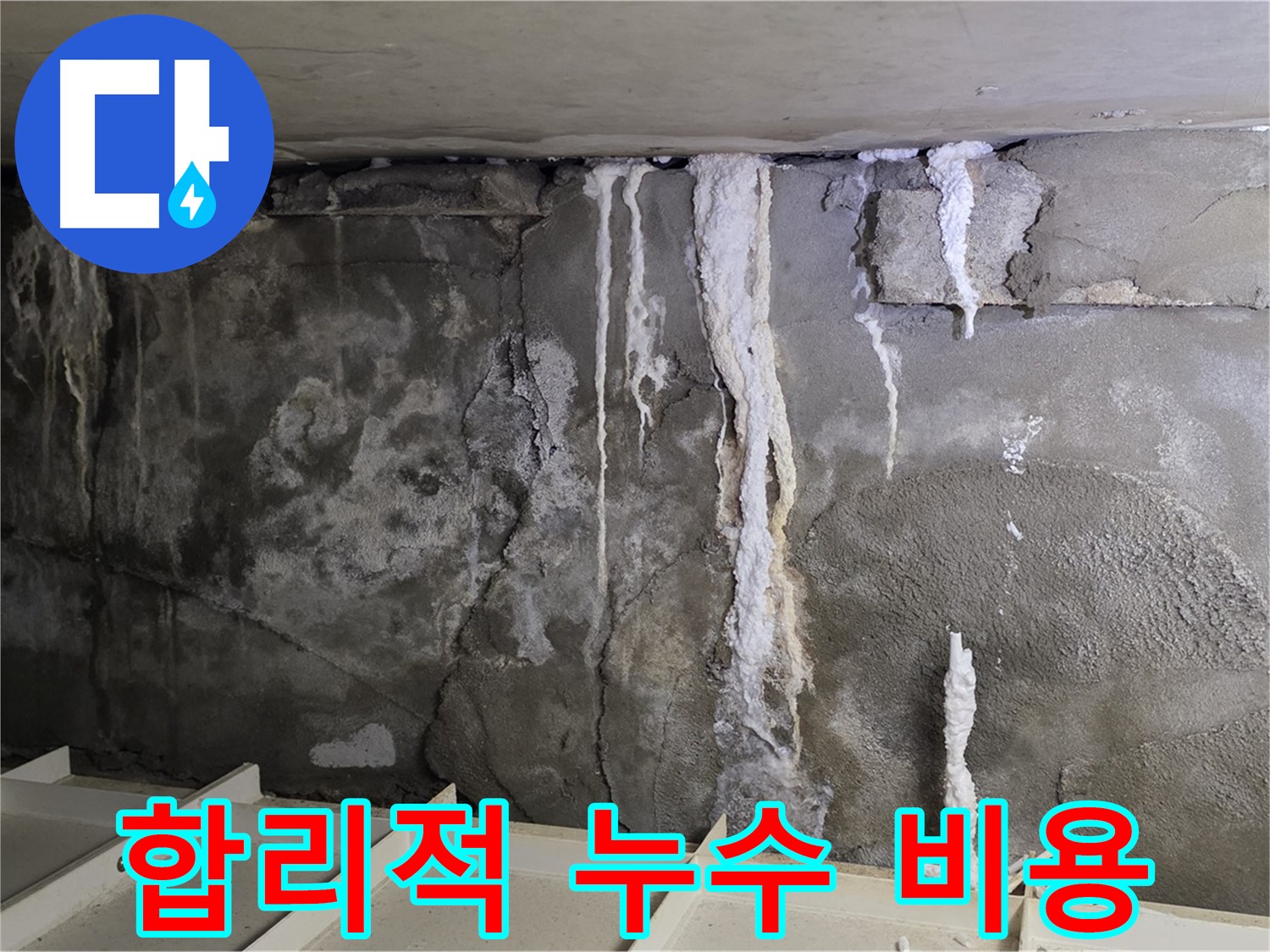 분당 운중동 건물 누수 - 주차장 누수 - 합리적 비용 제시
