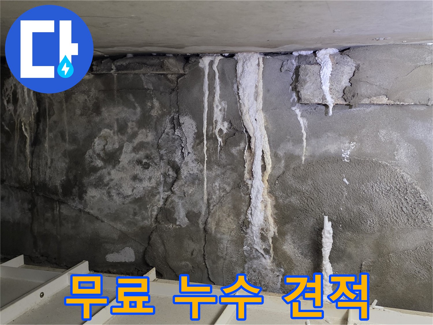 분당 운중동 건물 누수 - 콘크리트 누수 - 무료 견적 상담 진행