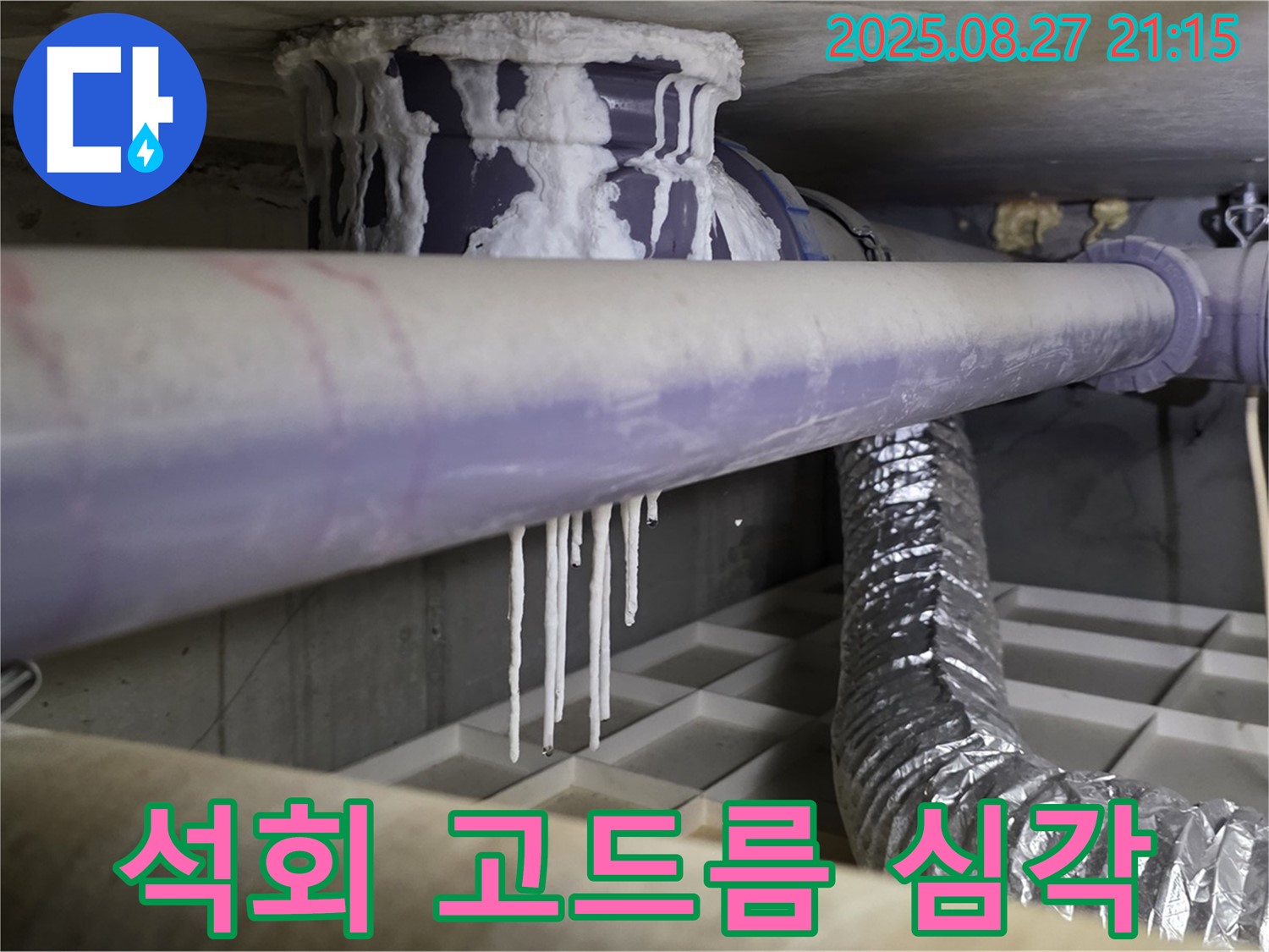 분당 운중동 누수 현장 - 심각한 석회 고드름은 오랜 기간 누수의 증거입니다. 정밀 진단이 필요합니다.