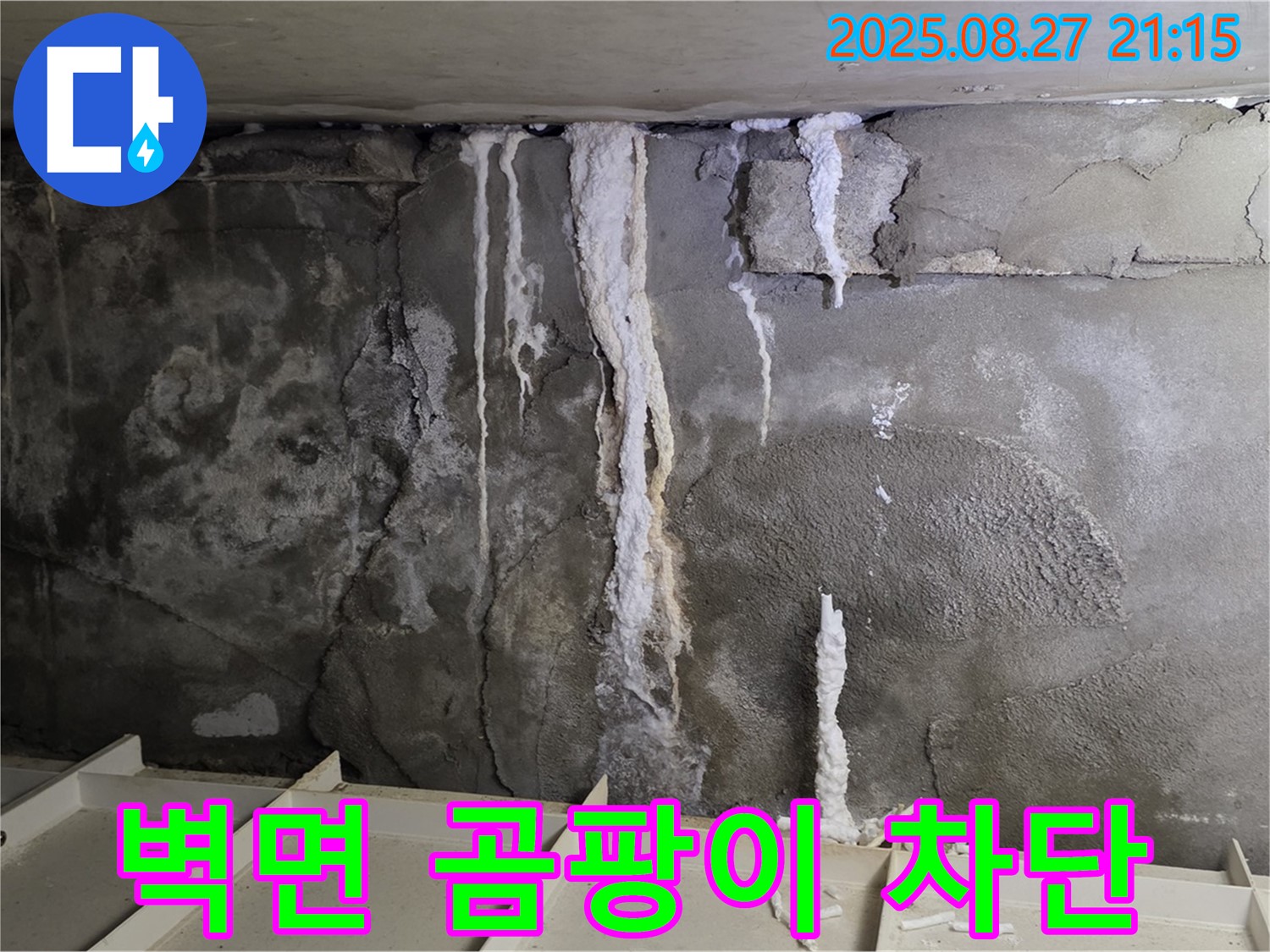 분당 운중동 산운로 주차장 벽면 - 긴급 상황에 신속하게 방문하여 곰팡이와 백화현상 문제를 완벽하게 차단하는 전문 업체의 모습을 담았습니다.