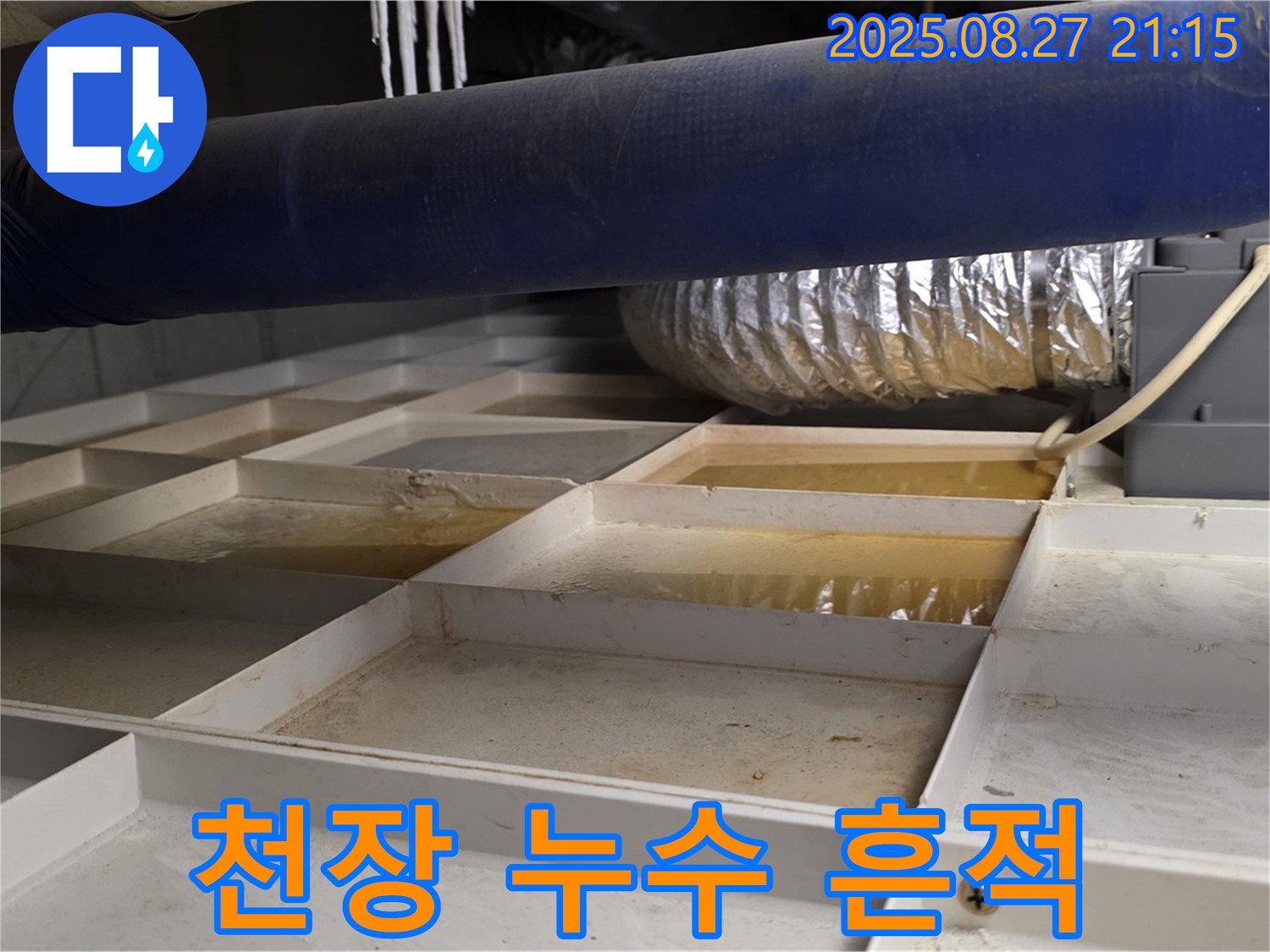 분당 운중동 산운마을 6단지 누수 현장 - 천장에 생긴 누수 흔적을 자세히 보여주는 사진입니다.