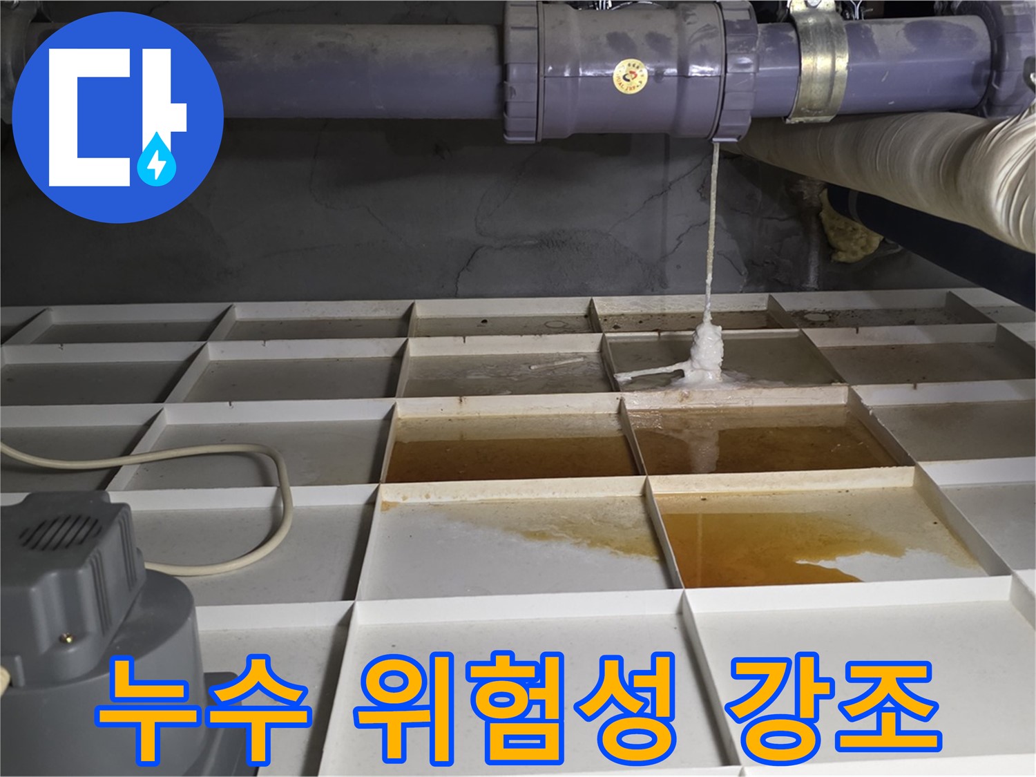 분당 운중동 산운마을 6단지 아파트 누수 현장, 누수를 방치하면 안 되는 이유를 보여주는 모습 - 건물 손상, 곰팡이 발생, 건강 위협까지!
