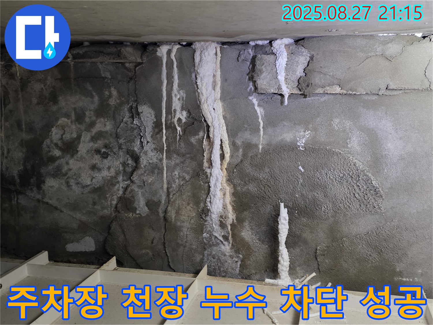 분당 운중동 산운마을 6단지 지하 주차장 천장 누수 - 완벽한 누수 차단 시공으로 더 이상 누수 걱정 없는 주차 환경을 만들었습니다.