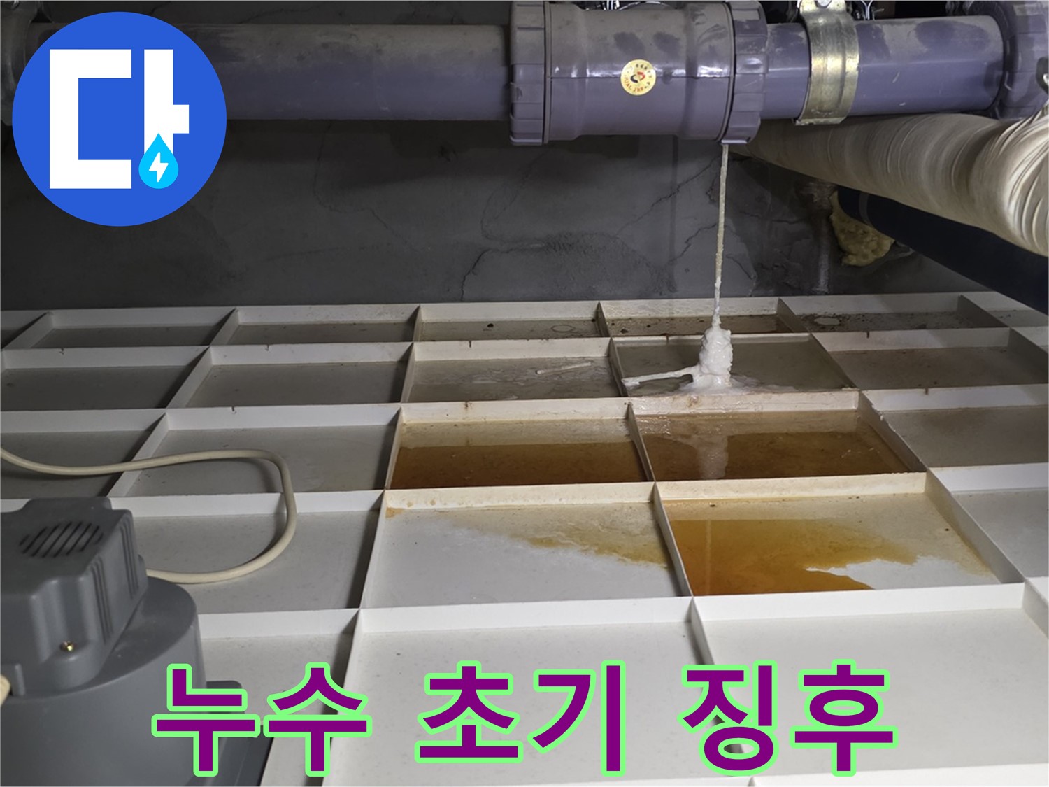 분당 운중동 산운마을 6단지에서 발견된 누수 초기 징후 - 빠른 발견과 조치가 더 큰 피해를 막습니다.