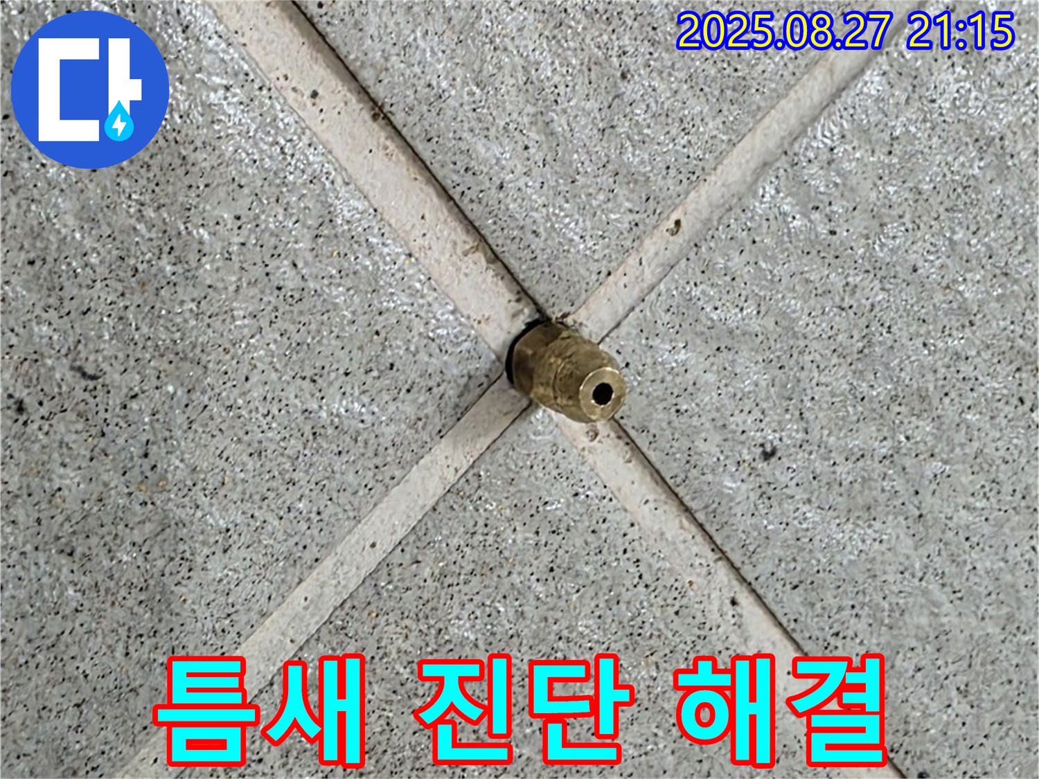 분당 운중동 산운마을 누수 - 타일 틈새를 통해 누수를 완벽하게 진단하고 맞춤형 해결책을 제시합니다.