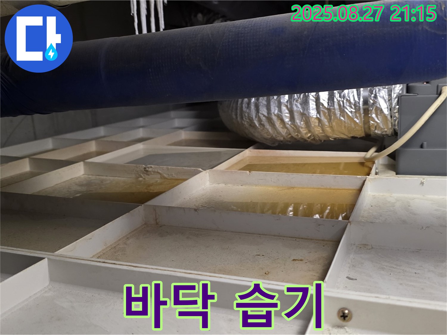 분당 운중동 산운마을 누수 현장 - 격자 바닥 주변에 습기가 차 있는 모습 - 배관 누수의 초기 증상일 수 있습니다.