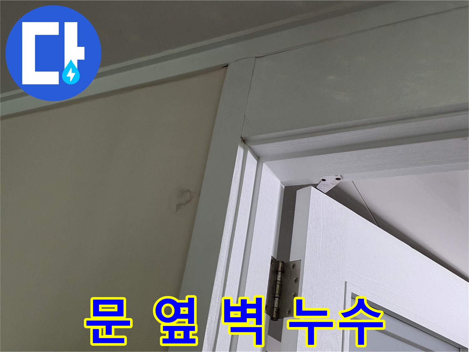 분당 운중동 산운마을 - 문 옆 벽에서 발견된 누수 - 꼼꼼한 점검으로 누수 원인을 파악하고 해결합니다.