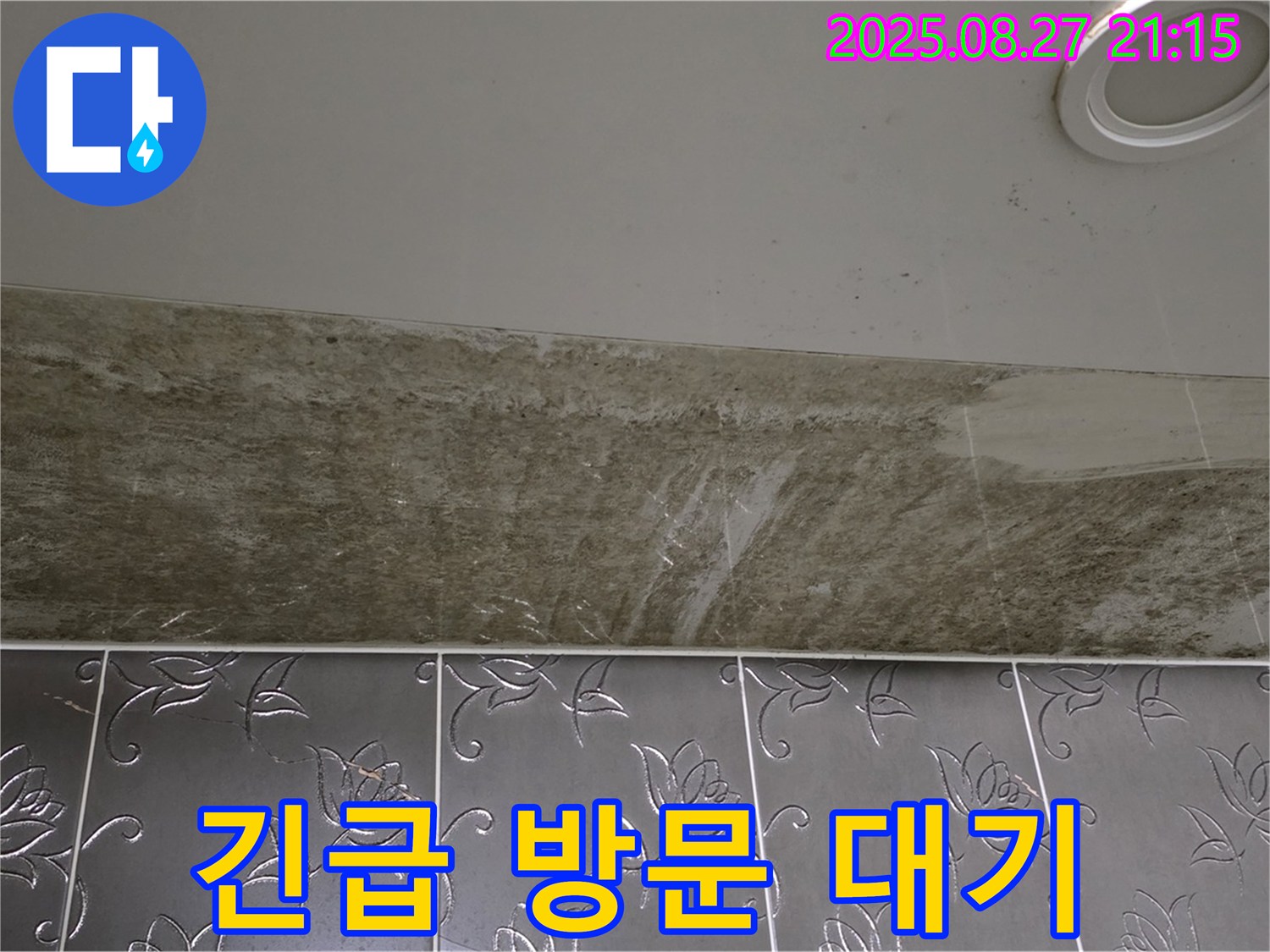 분당 운중동 산운마을 아파트 - 곰팡이 핀 천장 누수, 24시간 긴급 상황에 대비하고 있습니다.