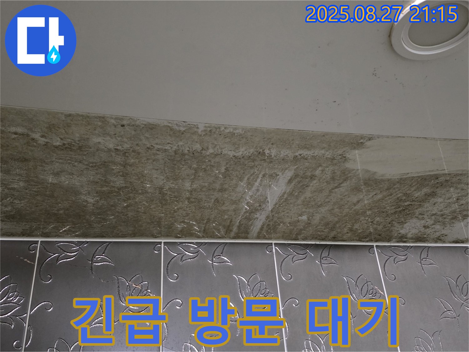 분당 운중동 산운마을 아파트 - 곰팡이 핀 화장실 천장 누수, 24시간 긴급 방문 대기 중입니다.