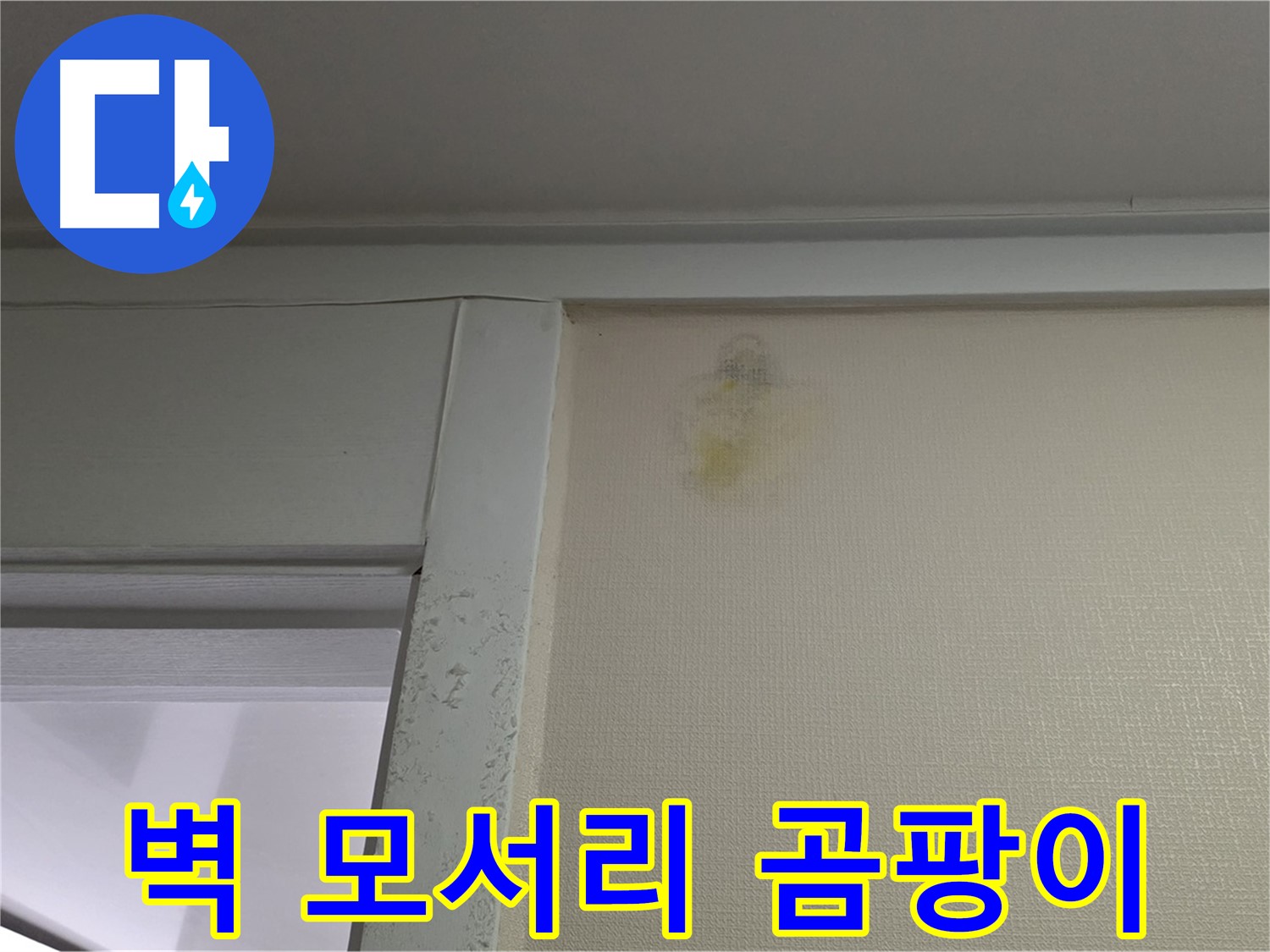 분당 운중동 산운마을 아파트 - 벽 모서리 곰팡이 및 습기 초기 누수 의심, 정밀 검사