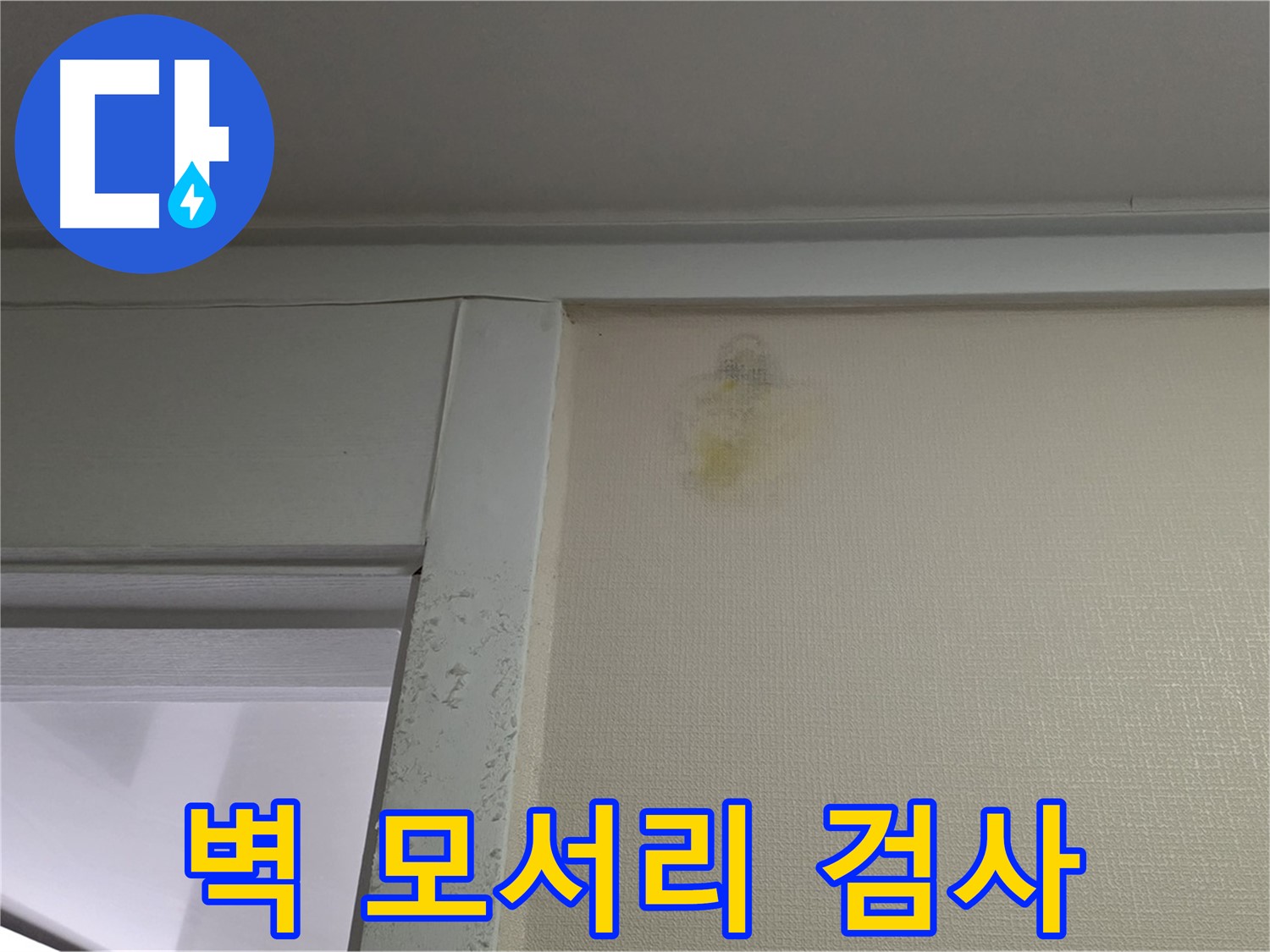 분당 운중동 산운마을 아파트 - 벽 모서리 곰팡이 초기 누수 의심, 정밀 검사