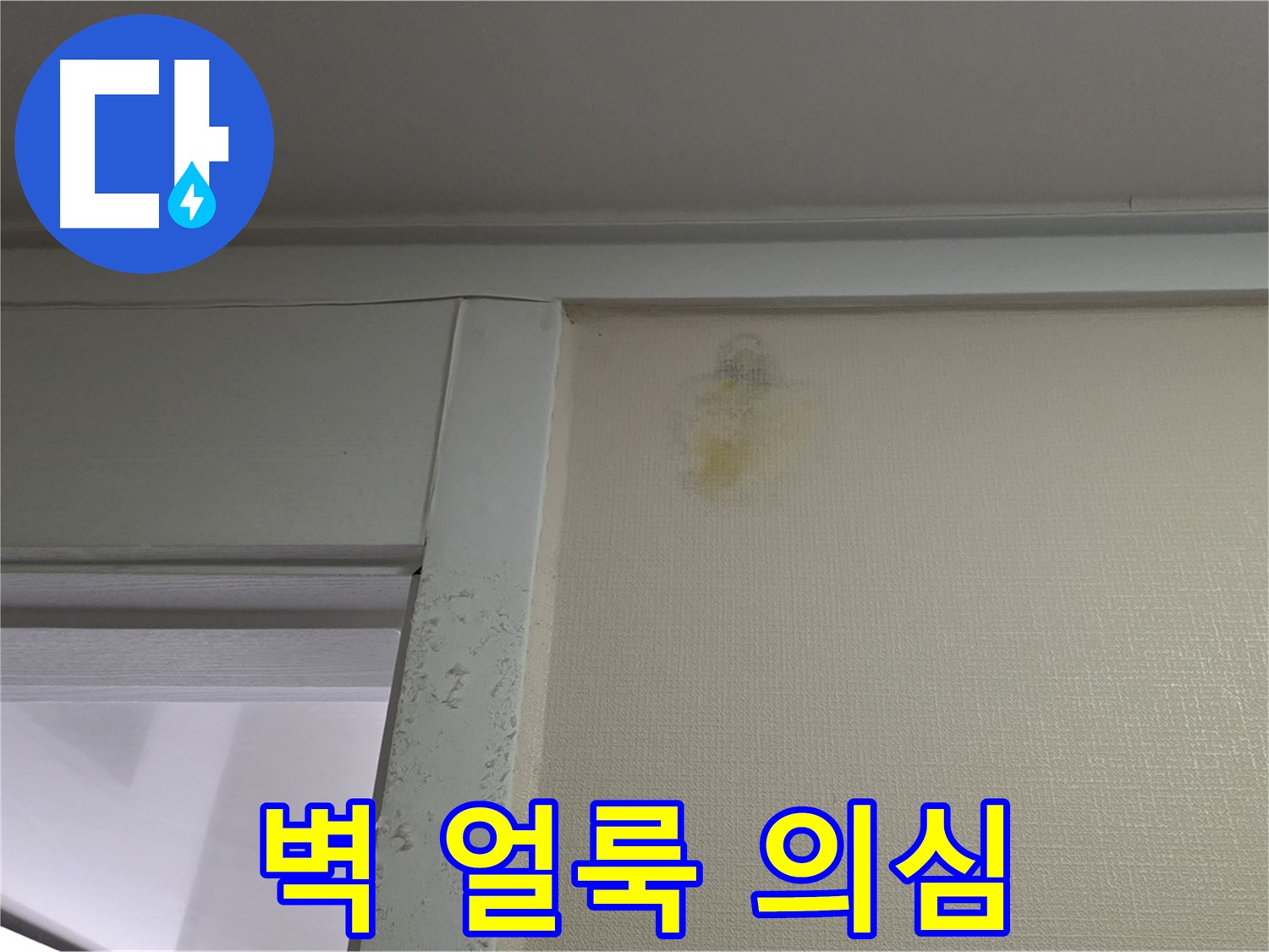 분당 운중동 산운마을 아파트 벽 얼룩 - 누수 초기 의심 및 정밀 진단