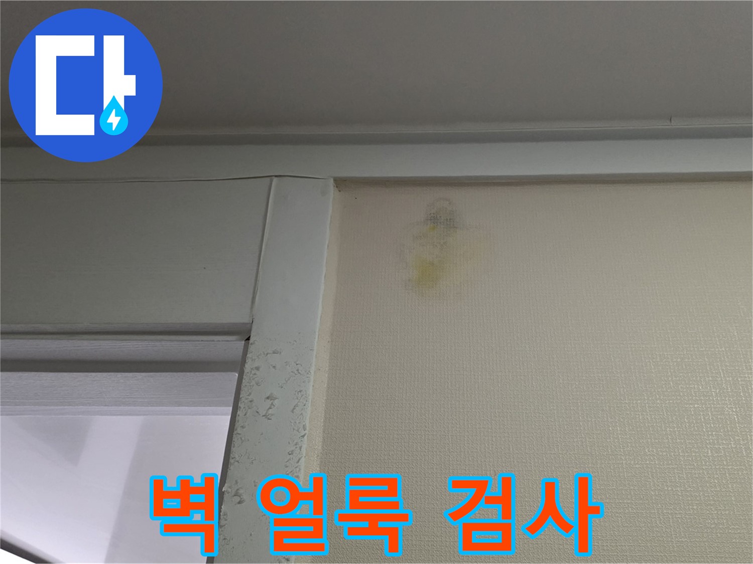 분당 운중동 산운마을 아파트 - 벽 얼룩 초기 누수 의심, 가스식 탐지
