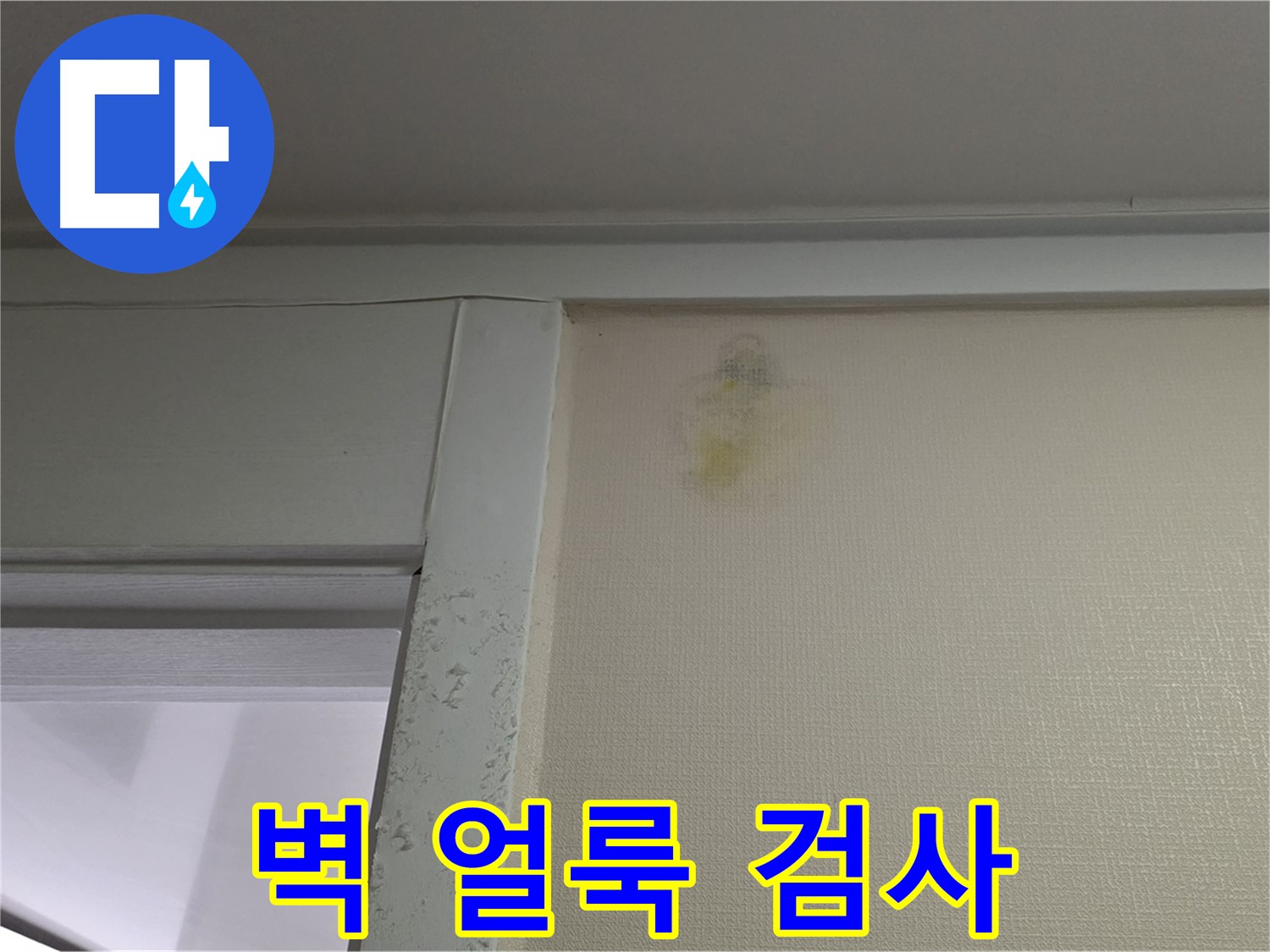 분당 운중동 산운마을 아파트 - 벽 얼룩 초기 누수 의심, 청음 탐지