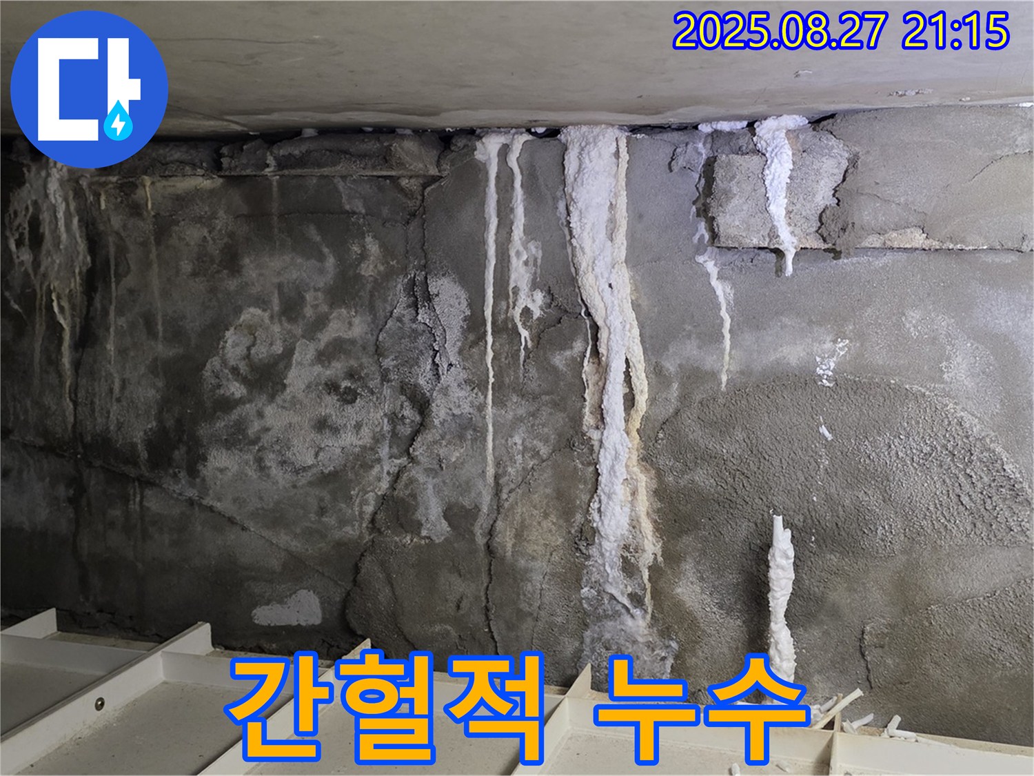 분당 운중동 산운마을6단지 콘크리트 누수 - 간헐적 누수, 잡기 힘든 누수