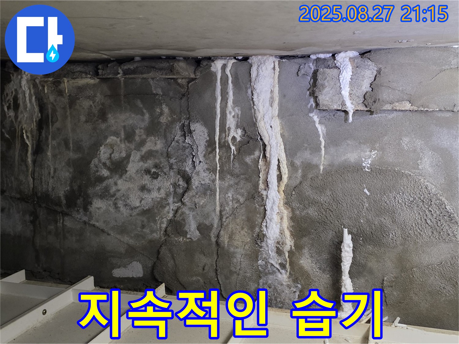분당 운중동 산운마을6단지 콘크리트 누수 - 지속적인 습기, 누수의 신호