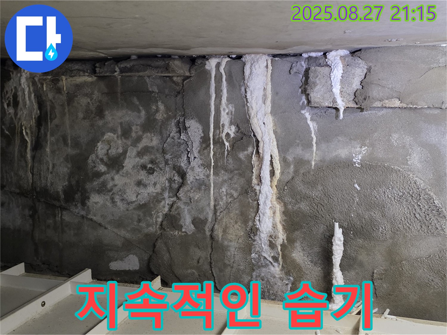 분당 운중동 산운마을6단지 콘크리트 누수 - 지속적인 습기, 누수의 신호