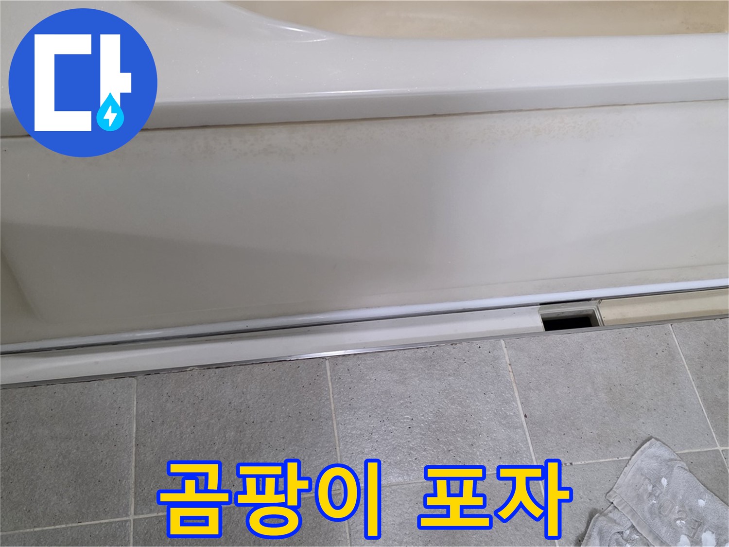 분당 운중동 산운마을에서 욕조 점검구 주변 곰팡이 포자를 확인하는 모습입니다 - 곰팡이 포자는 습기와 누수의 증거입니다.