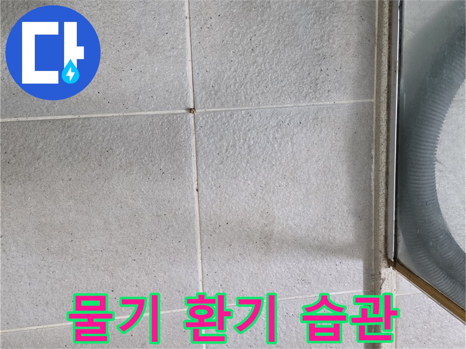 분당 운중동 욕실 - 샤워 후 물기 제거와 환기는 곰팡이와 누수 예방의 핵심입니다.