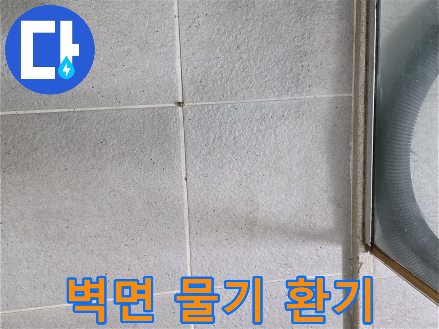 분당 운중동 욕실 - 샤워 후 벽면 물기 제거와 환기는 곰팡이와 누수 예방의 필수 습관입니다.