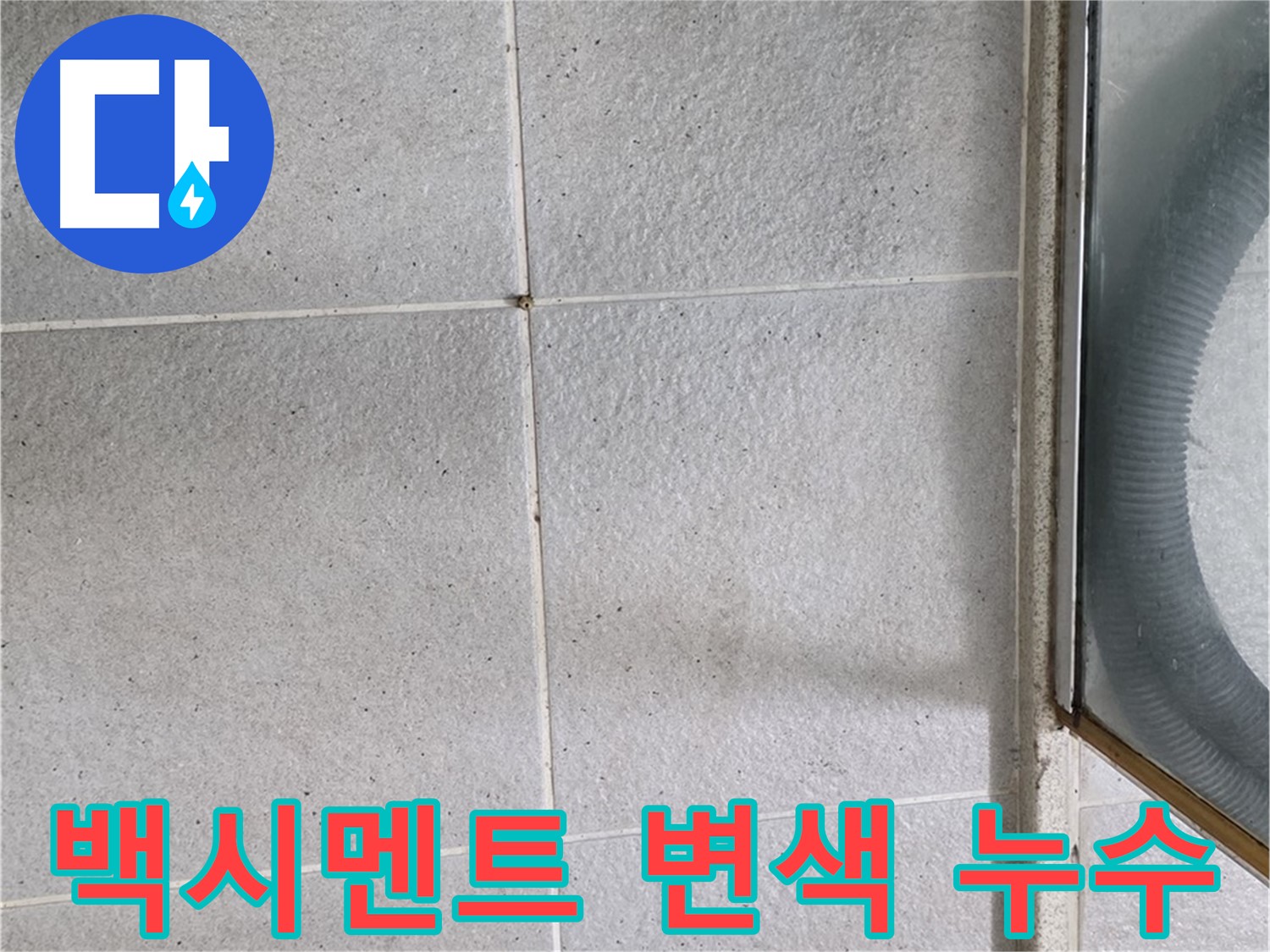 분당 운중동 욕실 타일 틈새 백시멘트 변색 - 변색된 백시멘트는 습기에 노출되어 누수가 진행 중일 수 있습니다.