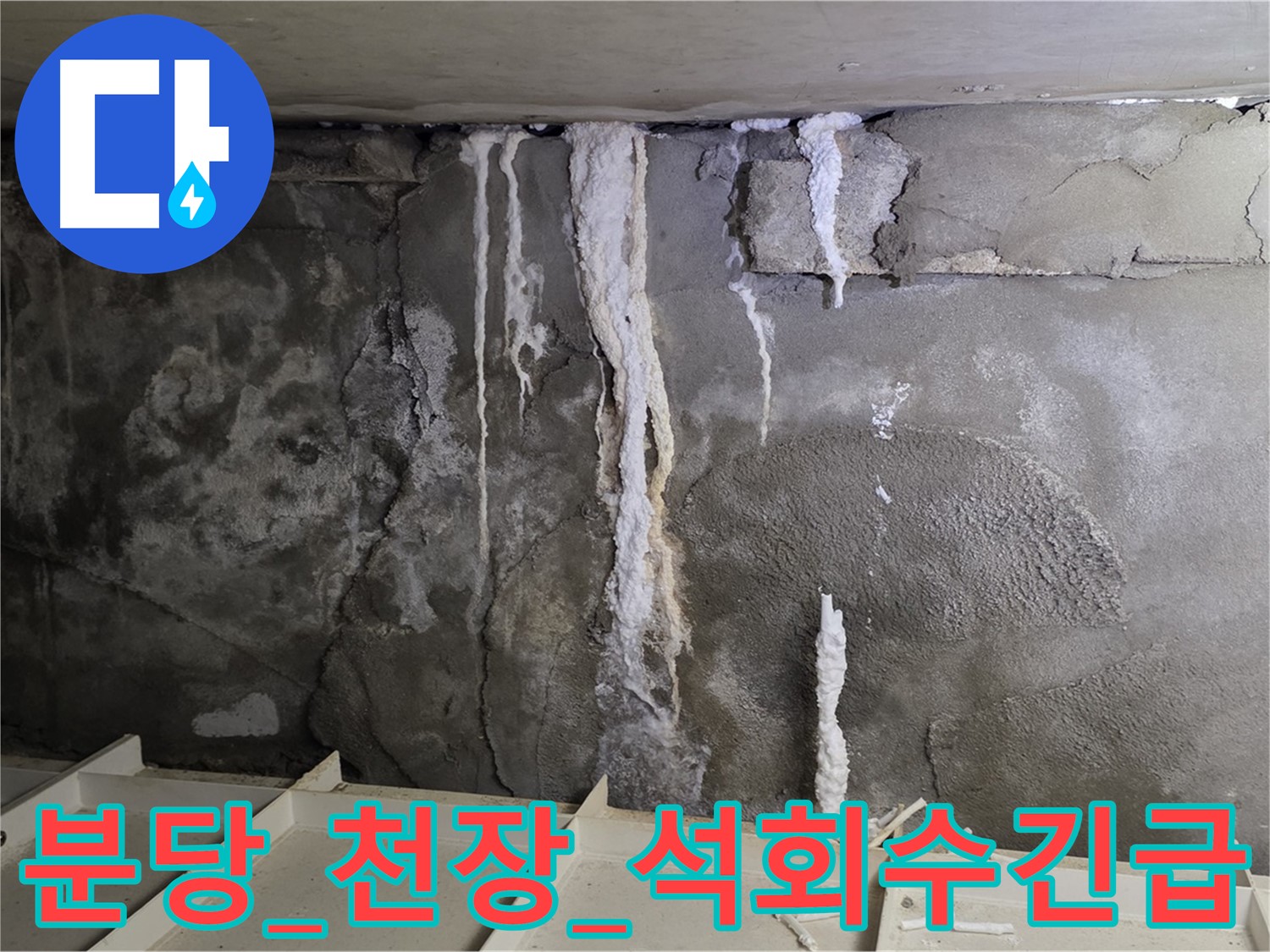 분당 콘크리트 천장 - 석회수, 긴급 누수, 즉시 방문