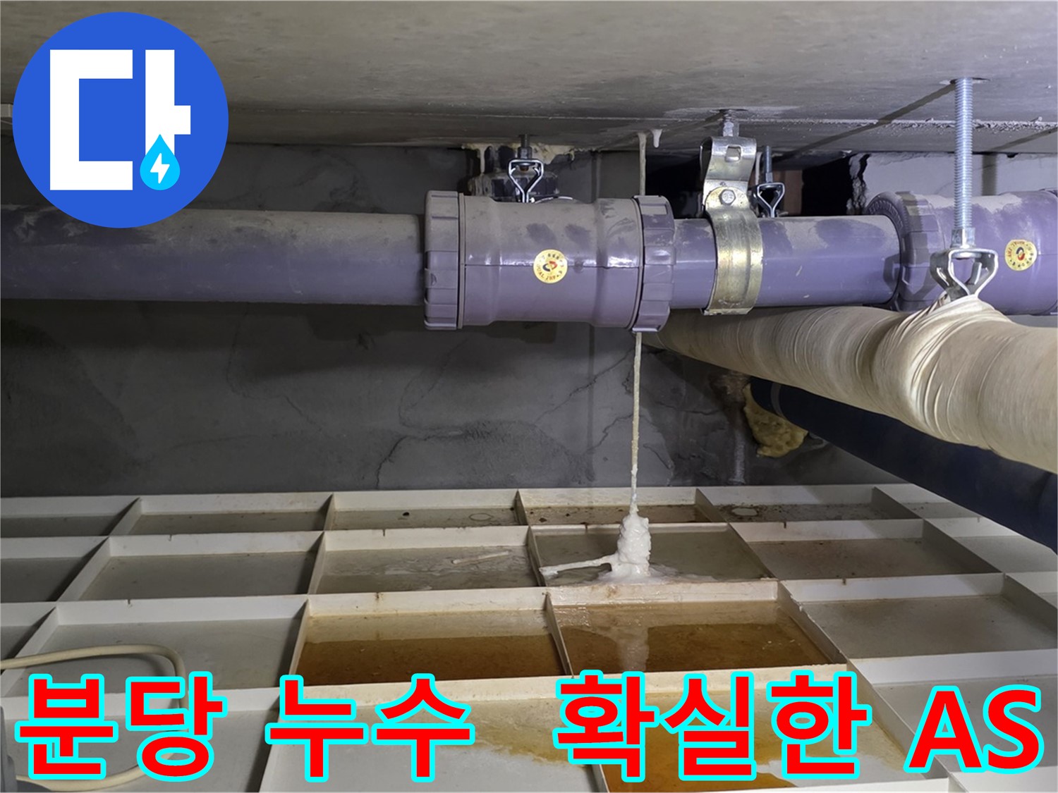 분당 하수 배관 누수 공사 - A/S 보장 및 책임 시공