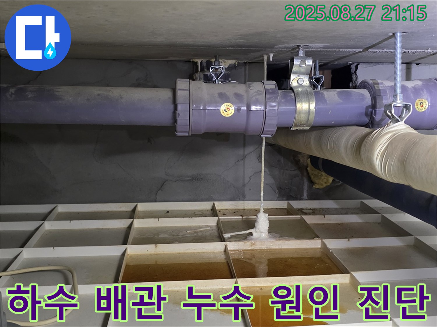 분당 하수 배관 누수 원인 진단 및 석회 고드름 문제 완벽 해결 - 누수 전문가의 꼼꼼한 작업