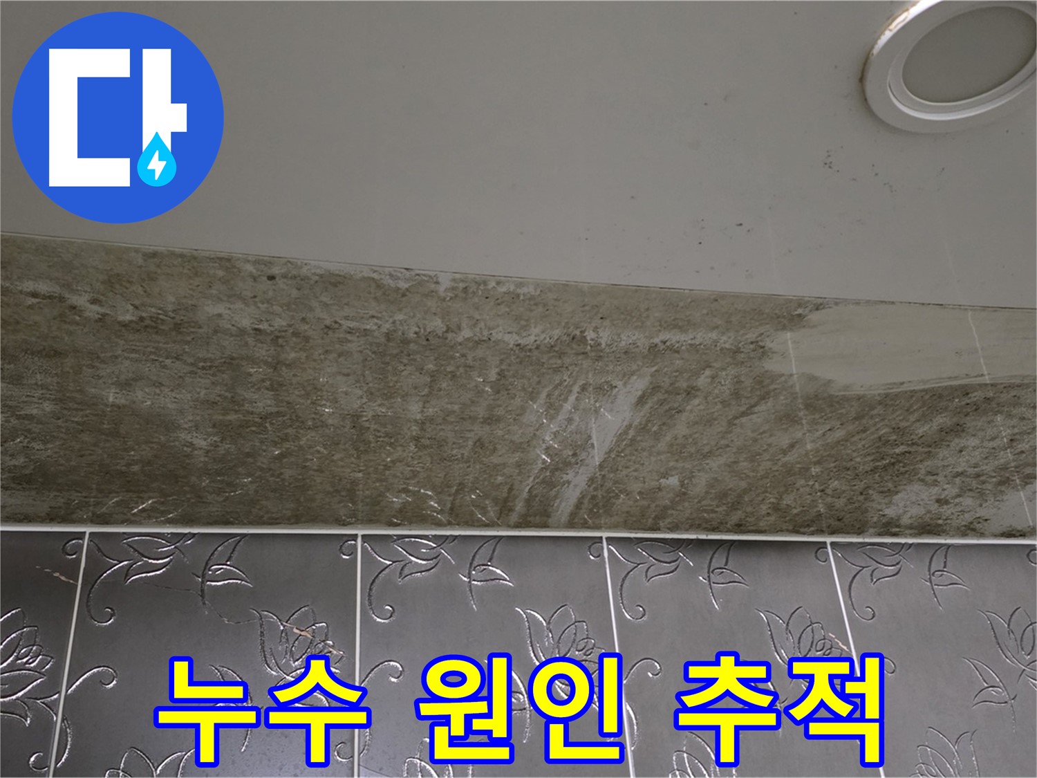 곰팡이 핀 화장실 천장 - 누수 원인 추적 시작