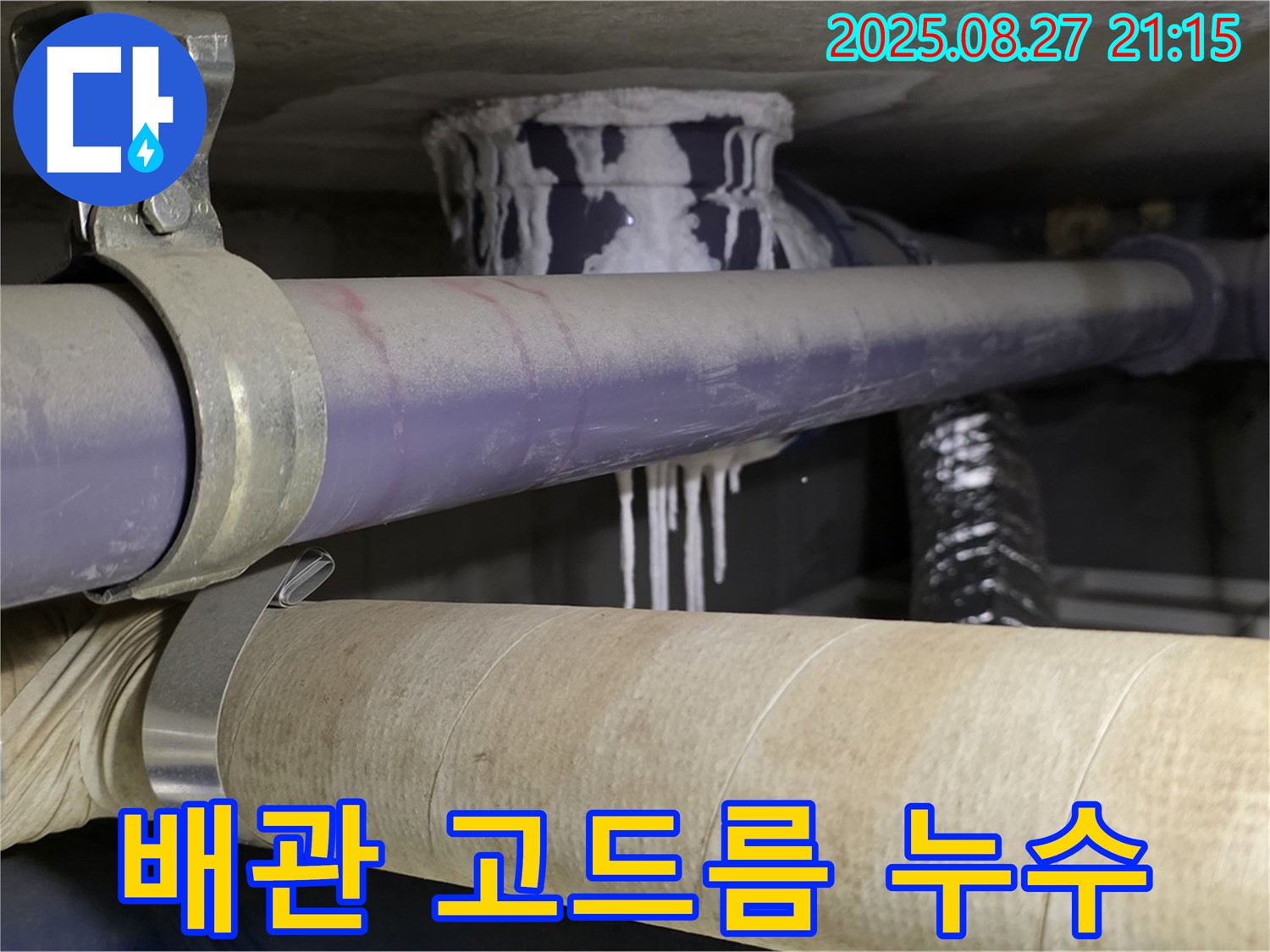 분당구 산운로 아파트 배관에서 발생한 누수 - 고드름처럼 얼어붙은 모습이 심각합니다.