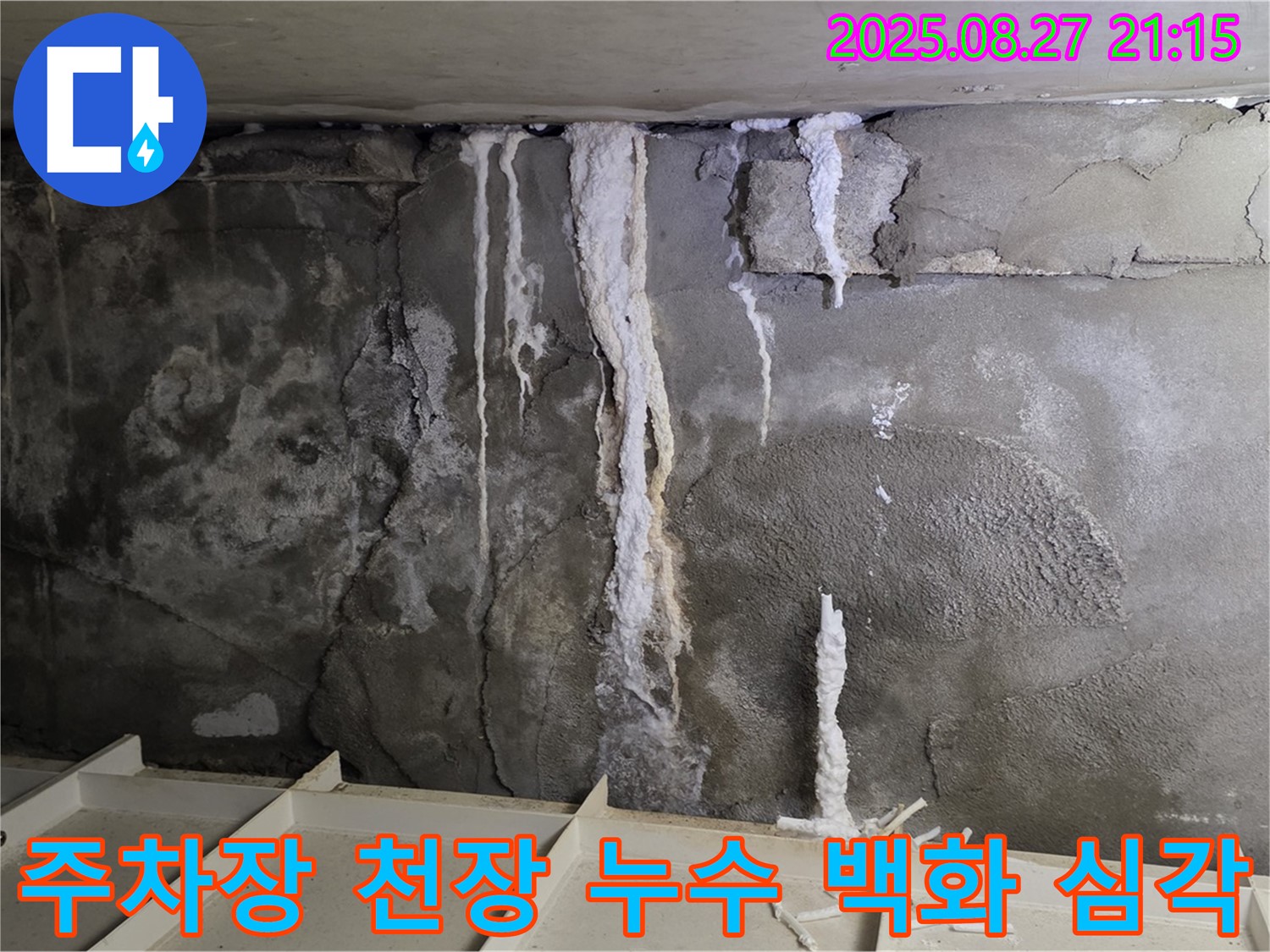 분당구 운중동 6단지 지하 주차장 천장 누수 현장 - 심각한 백화 현상을 동반한 누수 문제를 보여주는 이미지입니다.
