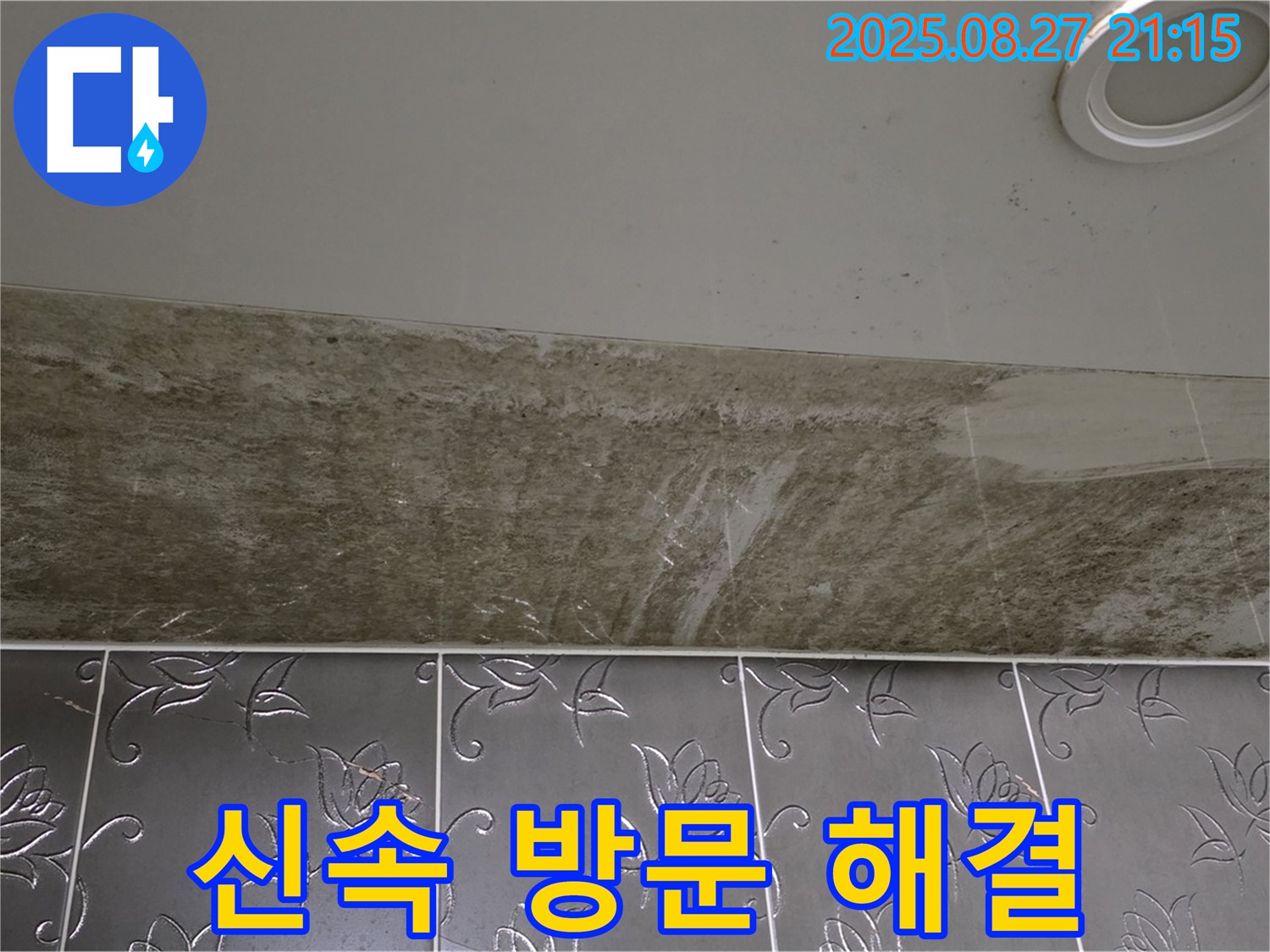 분당구 운중동 산운마을 아파트 - 곰팡이로 뒤덮인 천장 누수, 신속하게 방문하여 문제를 해결해 드립니다.