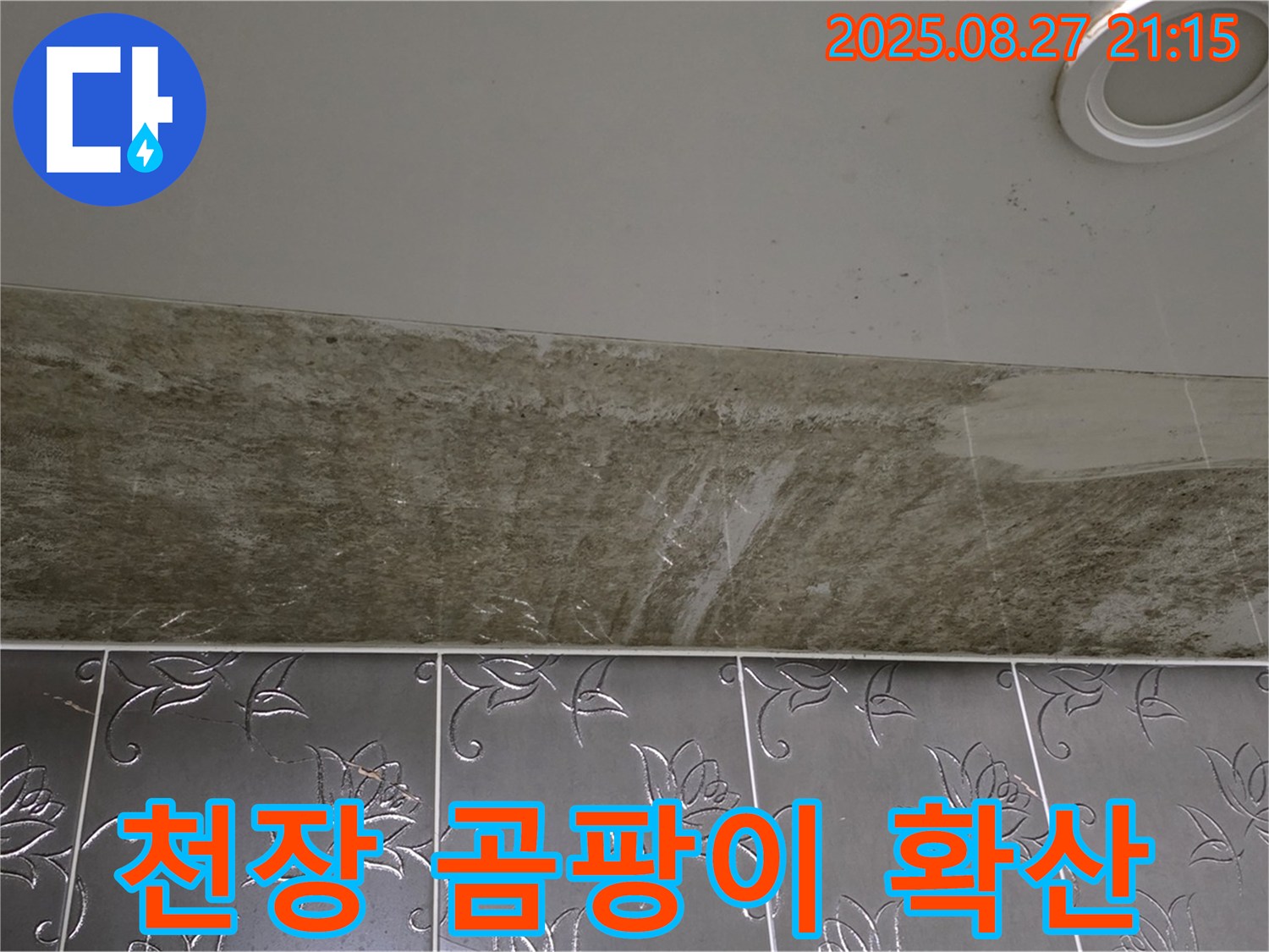 분당구 운중동 산운마을6단지 아파트 화장실 천장 - 곰팡이가 빠르게 확산되고 있어 긴급 점검이 필요한 상황입니다.