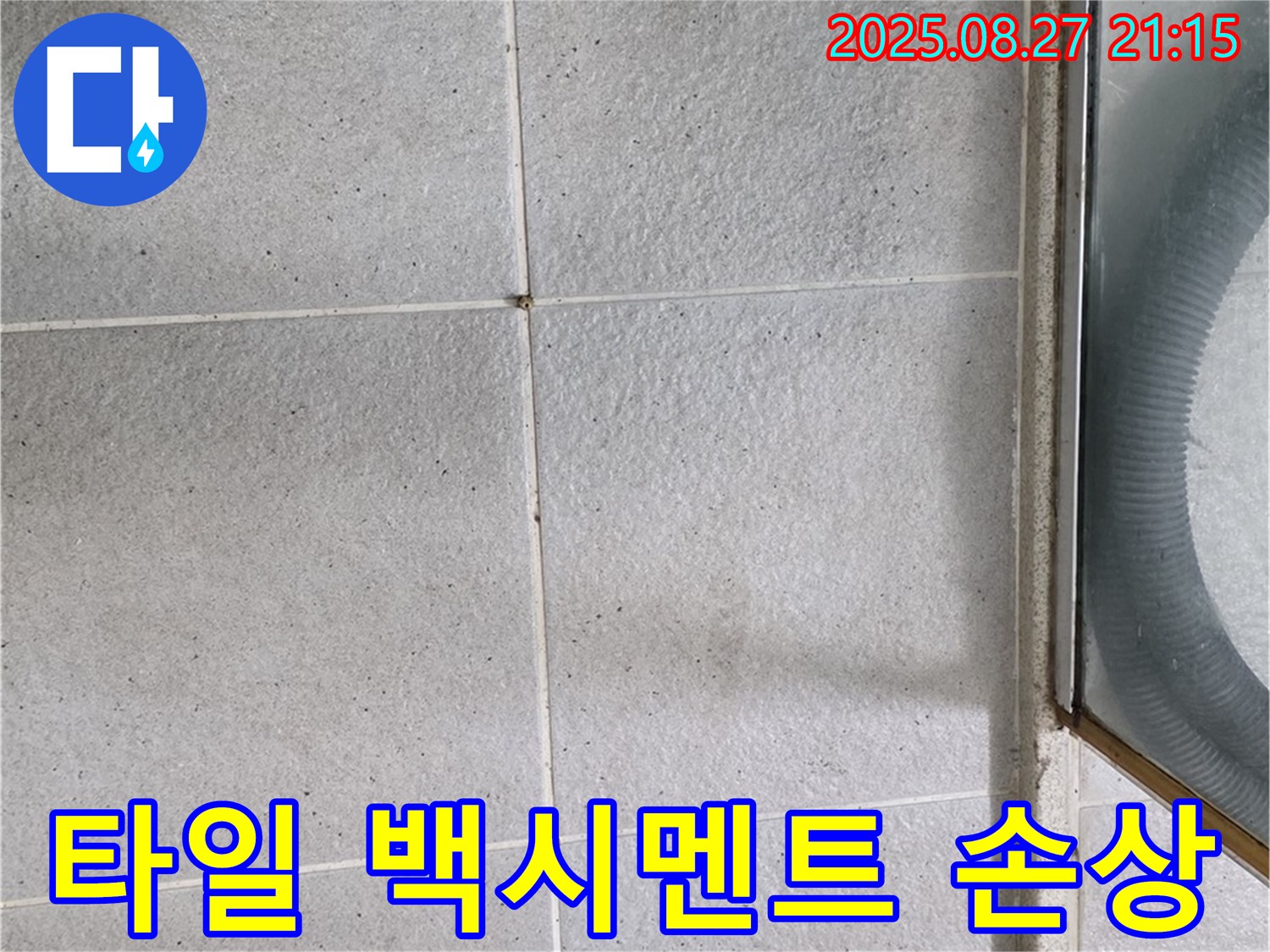 분당구 운중동 샤워부스 주변 타일 - 백시멘트 손상 확인 및 누수 점검